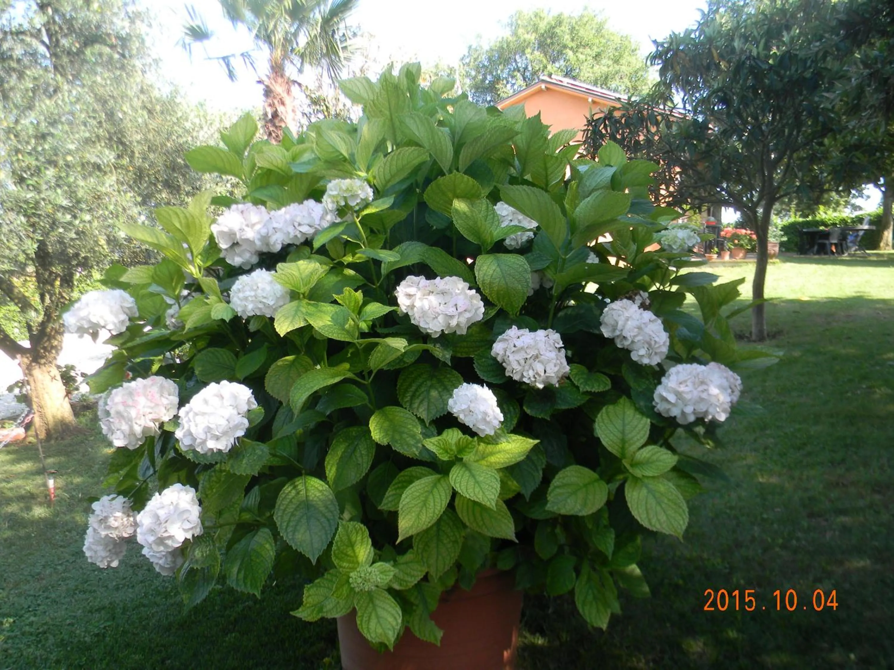Garden in Casa Vacanza Malescale