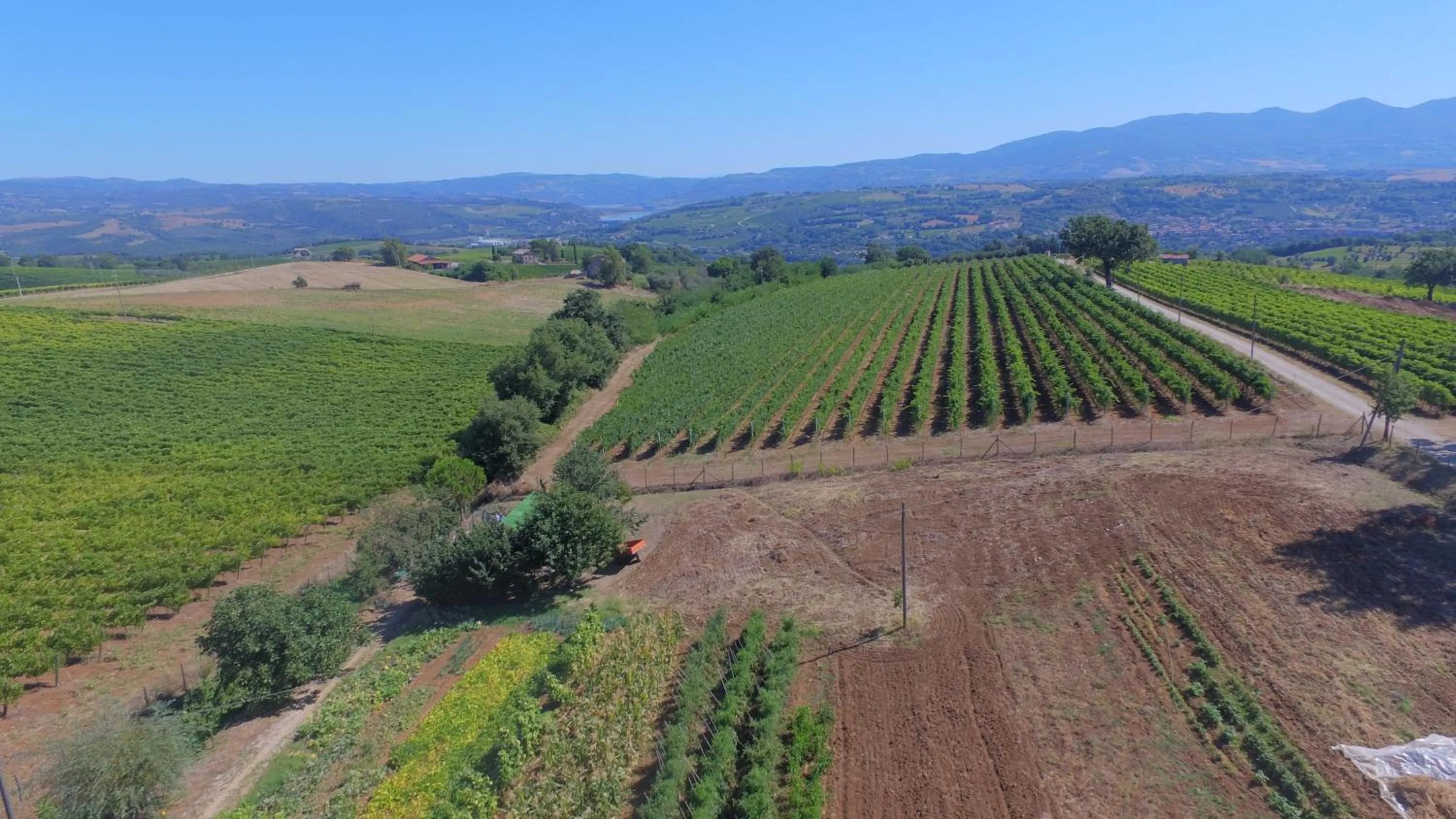 Natural landscape in Casa Vacanza Malescale