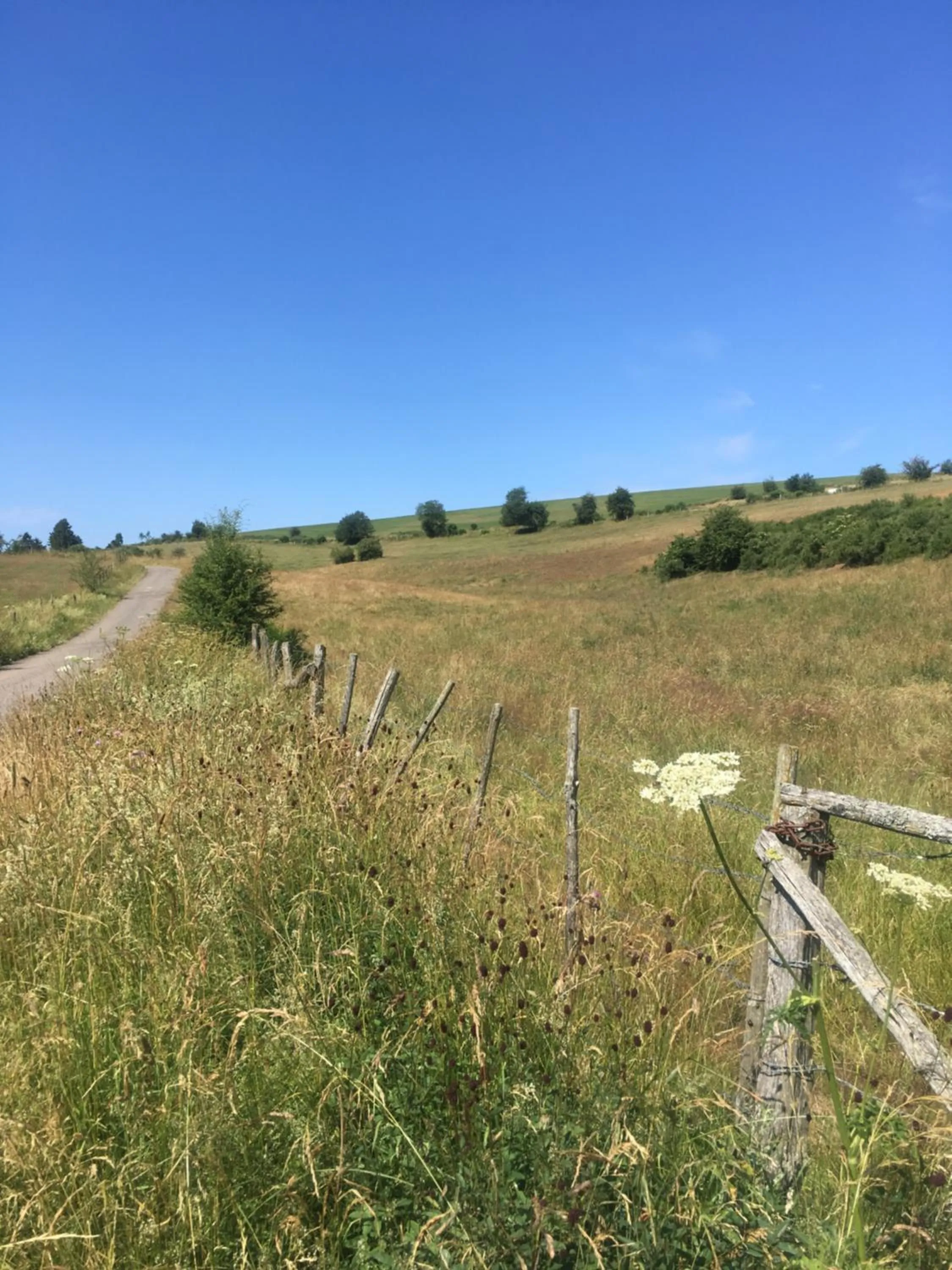 Spring in PAULIS Vakantiehuis