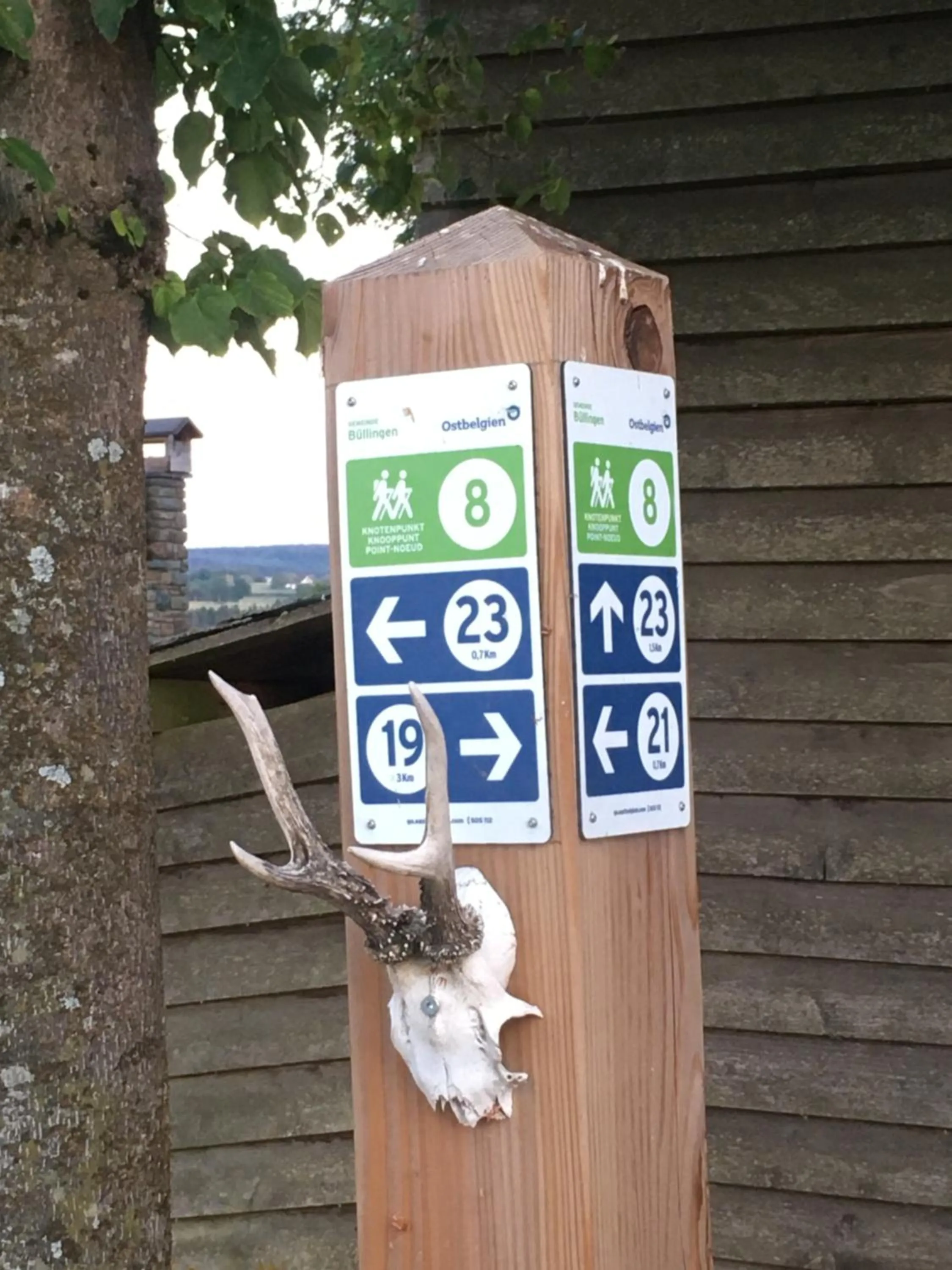 Hiking in PAULIS Vakantiehuis