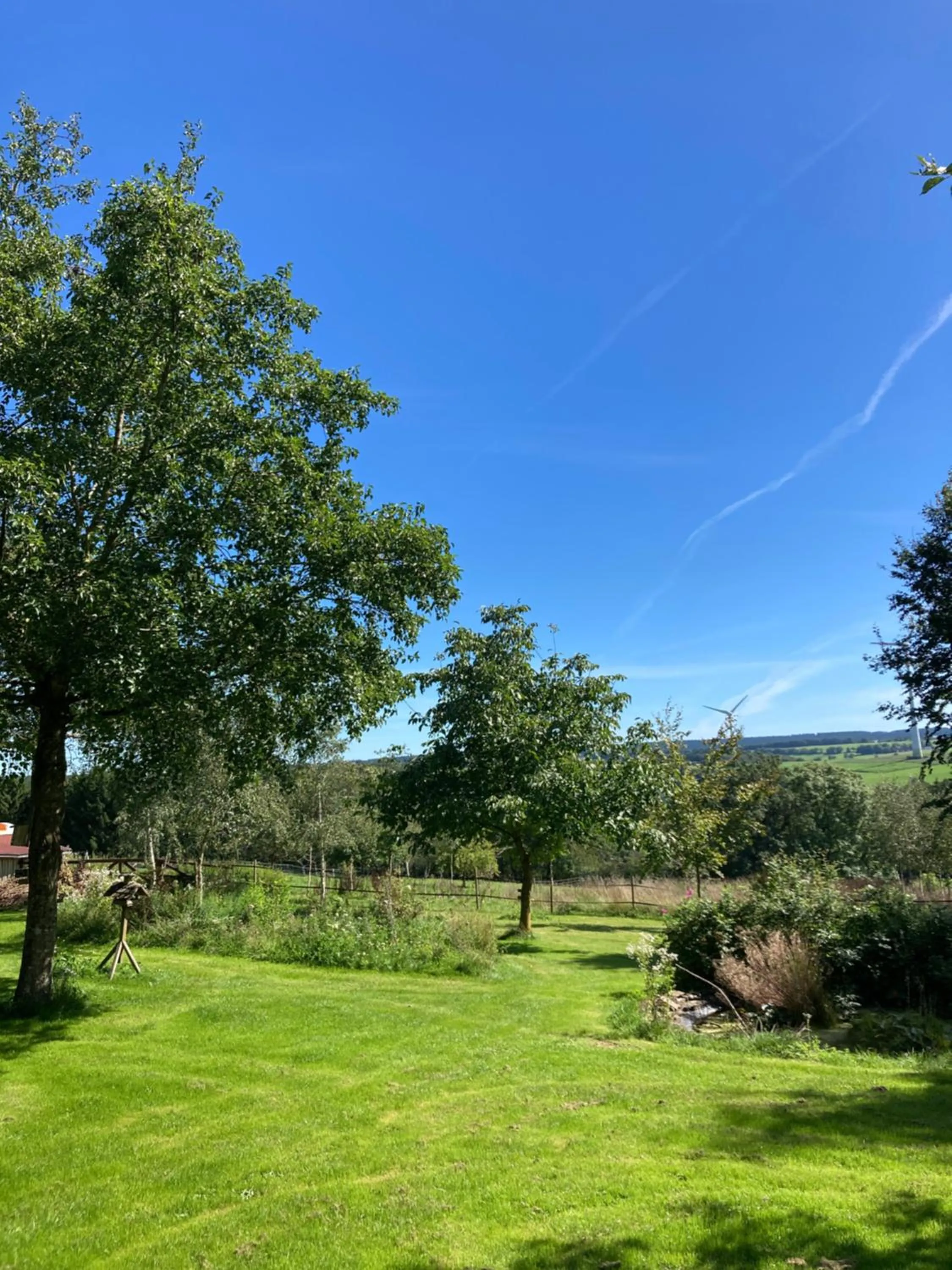 View (from property/room) in PAULIS Vakantiehuis