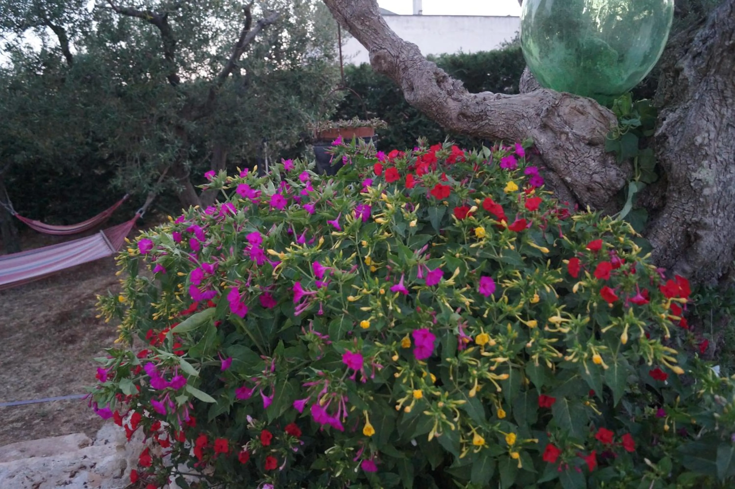 Decorative detail in La Casa Del Nonno