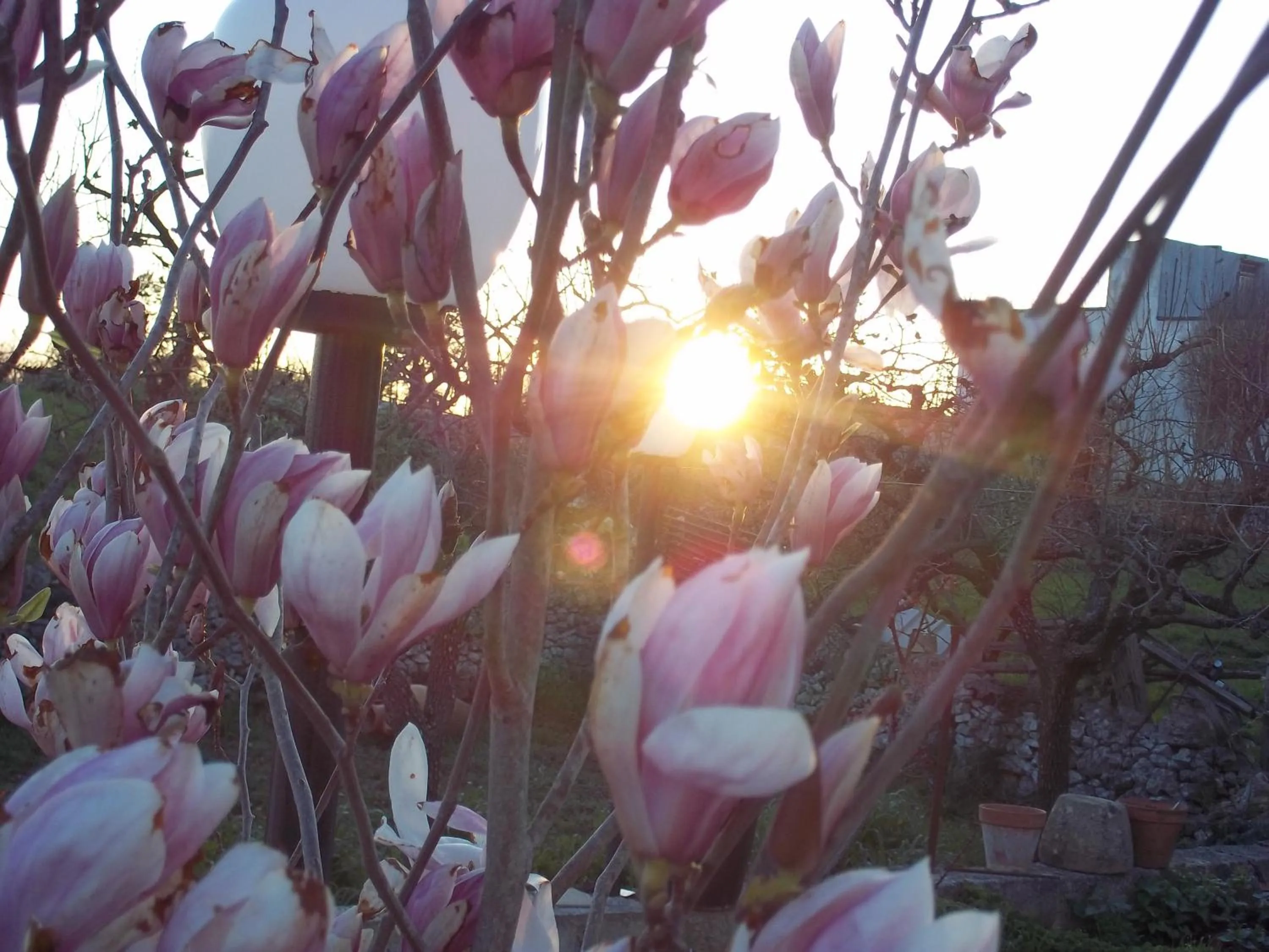 Facade/entrance in La Casa Del Nonno