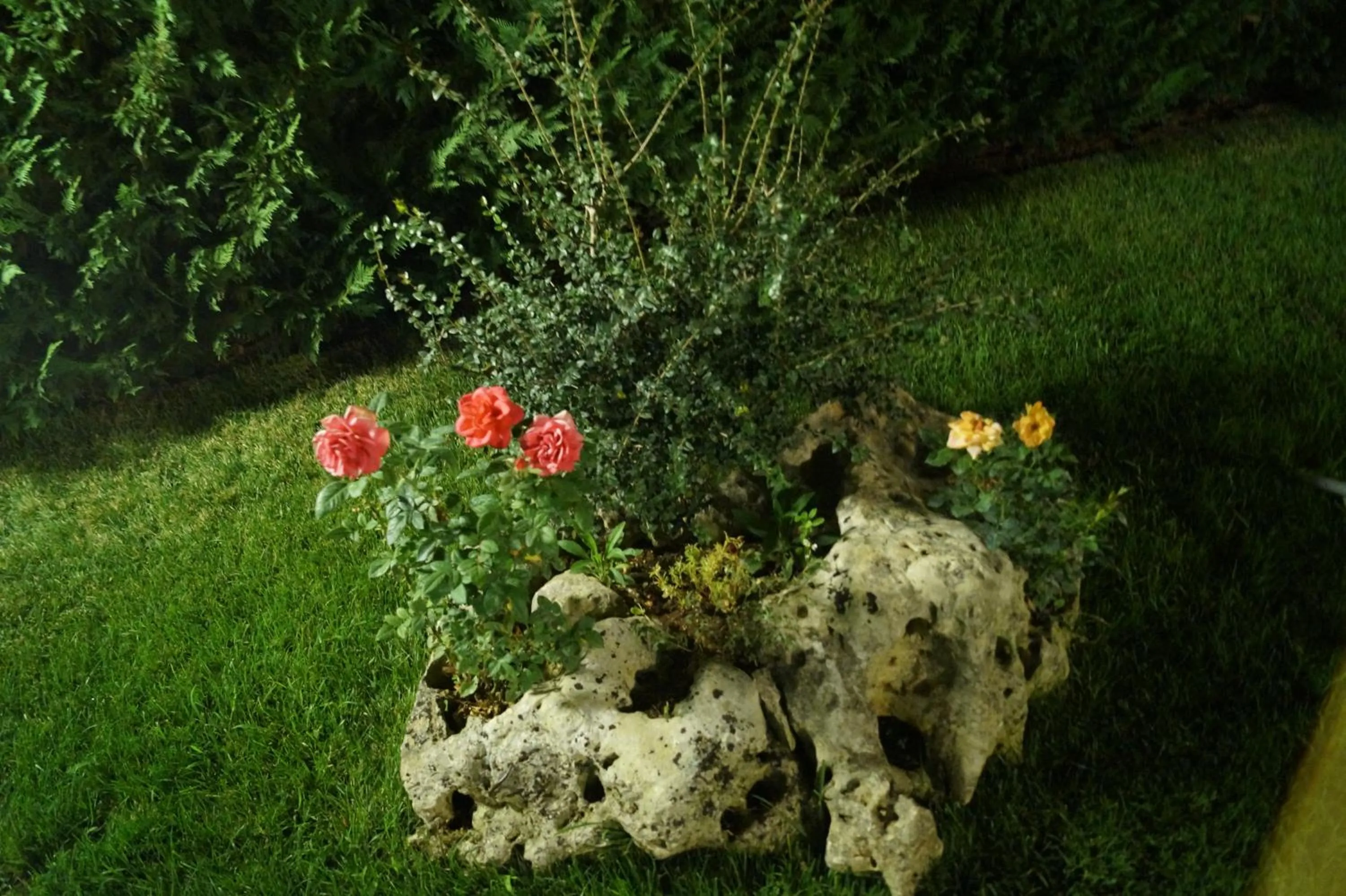 Garden in La Casa Del Nonno