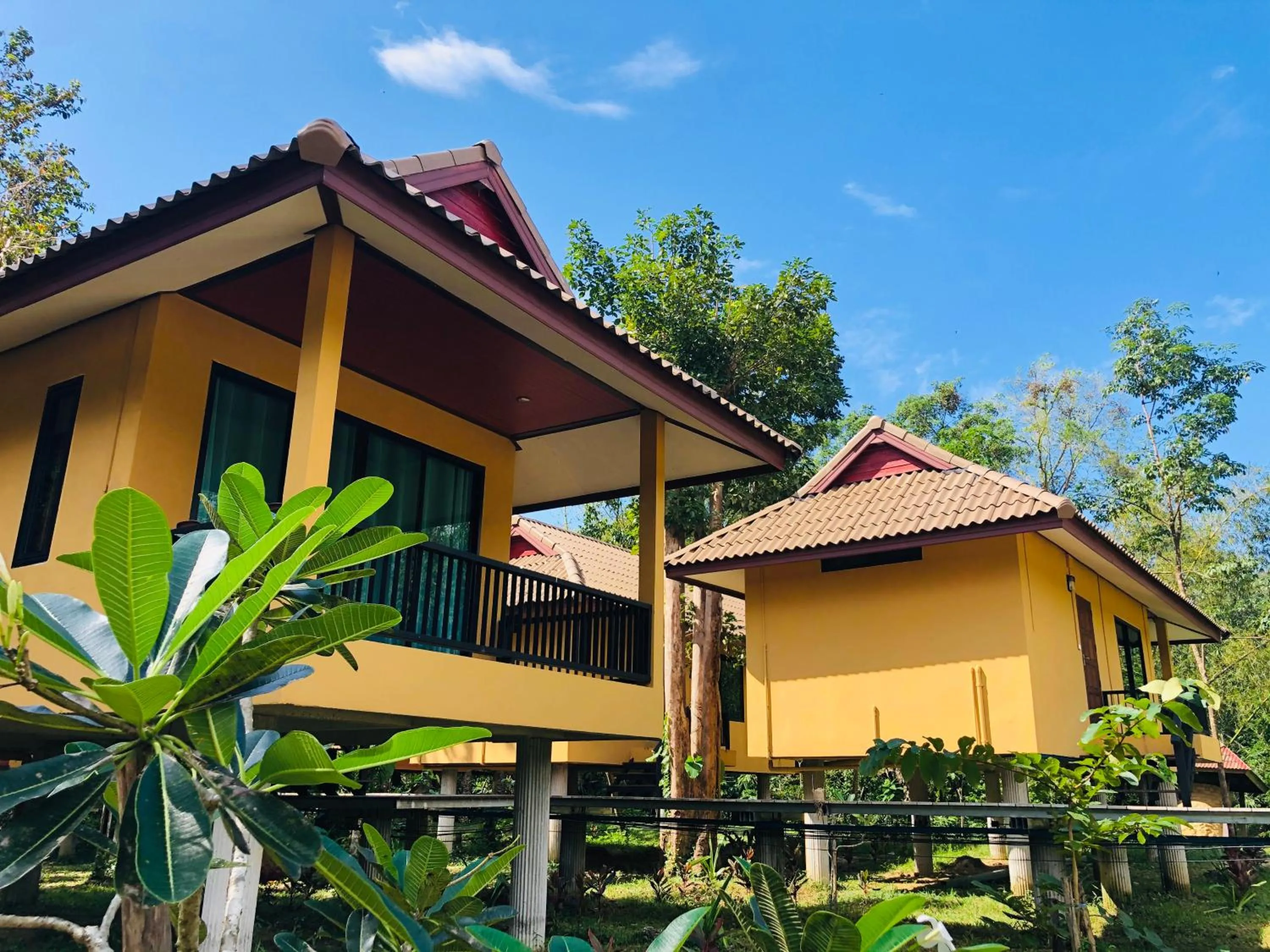Property building in The Bliss Khao Sok Boutique Lodge