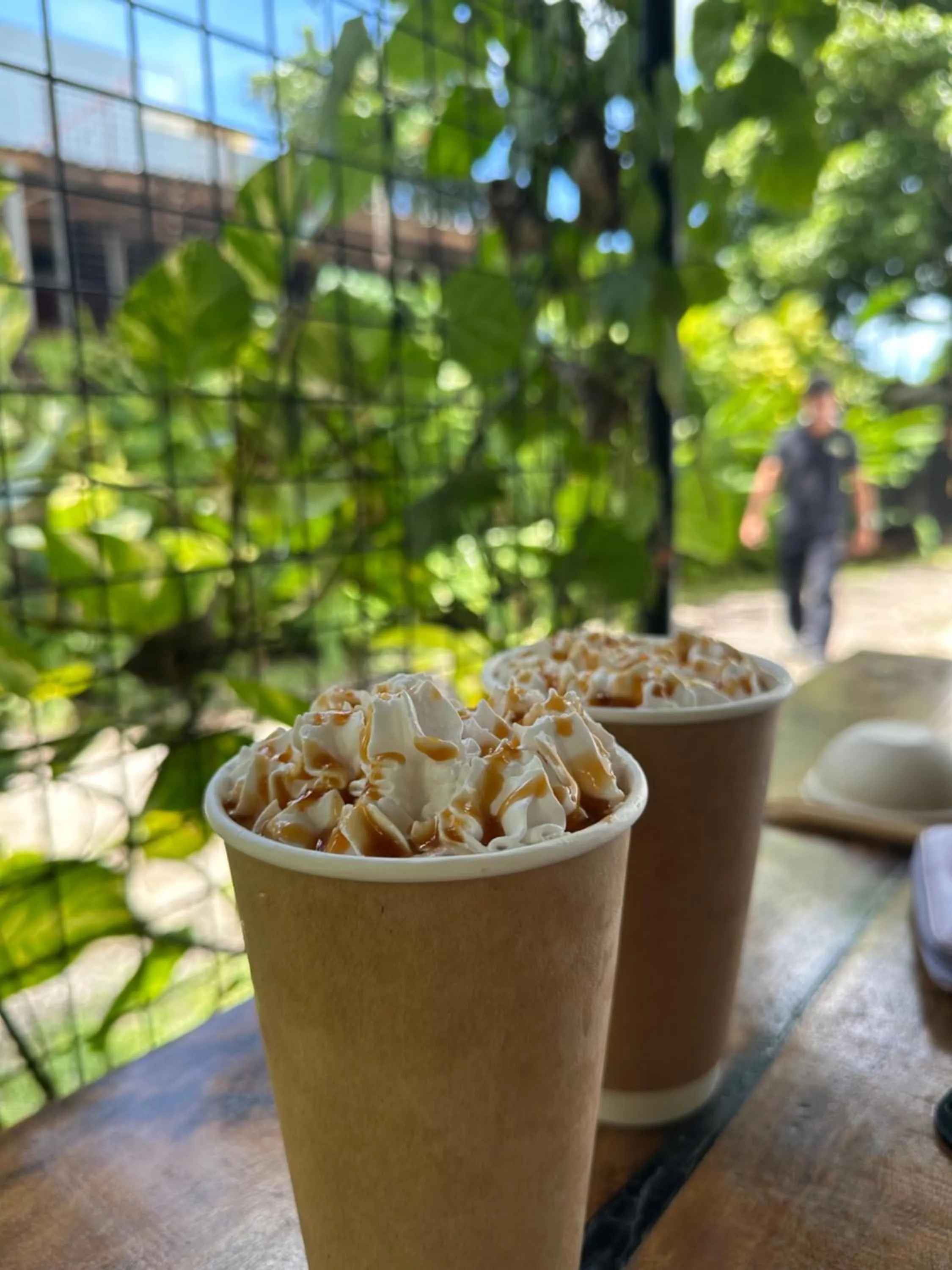 Day in Fernando's Hotel