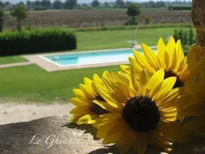 Le Ghiande Le Ghiande