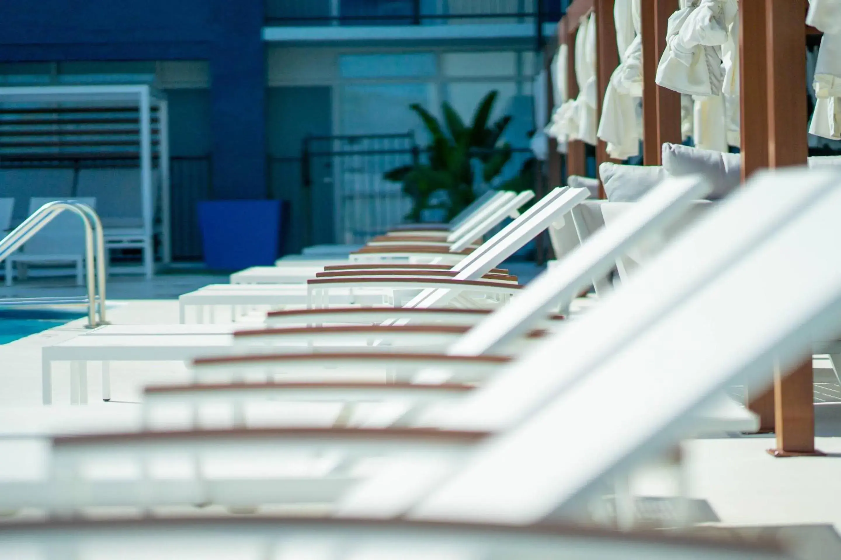 Swimming pool in DASKK Orlando Hotel near Universal Blvd, an Ascend Collection Hotel Swimming pool in DASKK Orlando Hotel near Universal Blvd, an Ascend Collection Hotel
