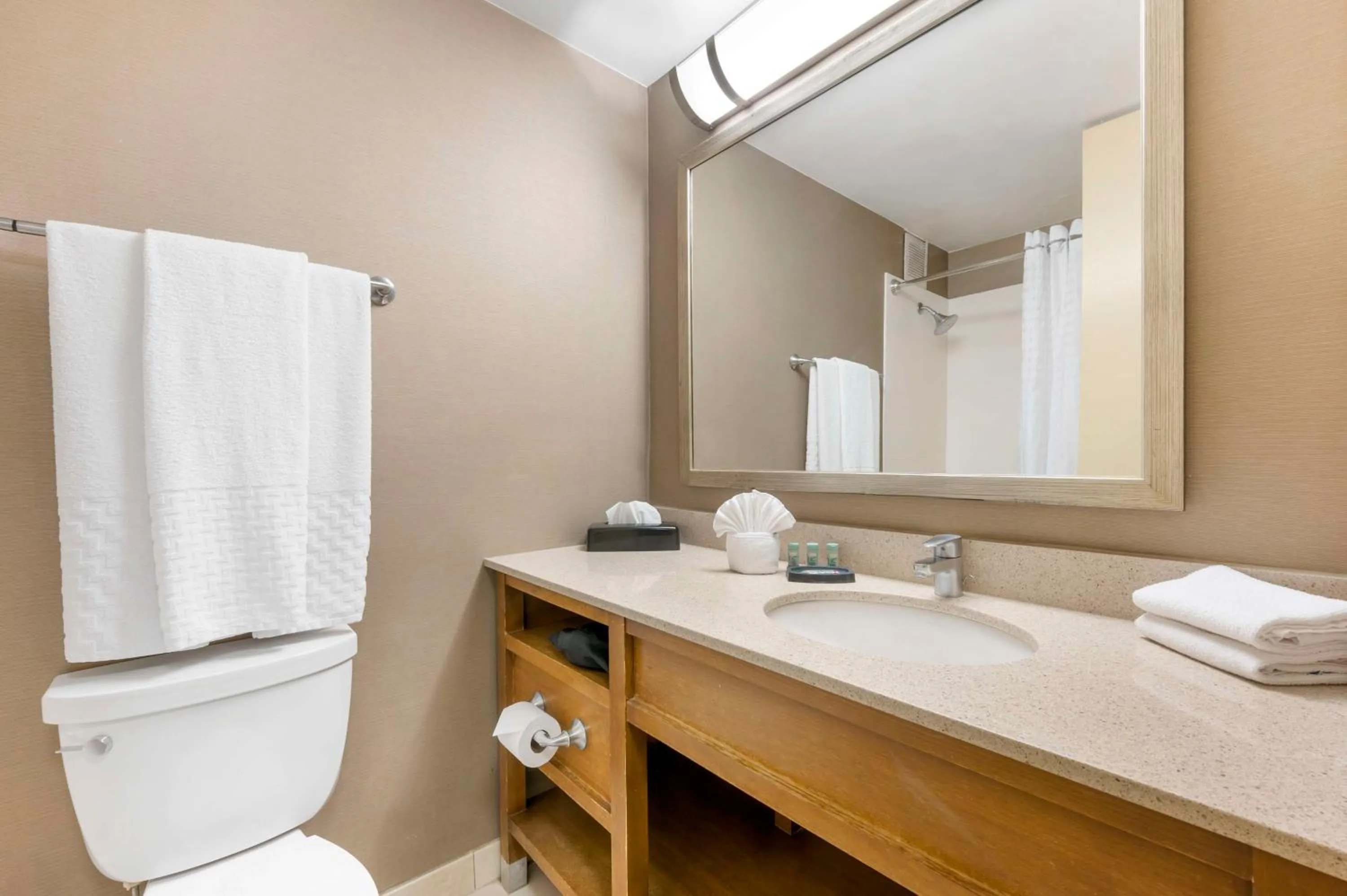 Bathroom in Best Western Grant Park Hotel