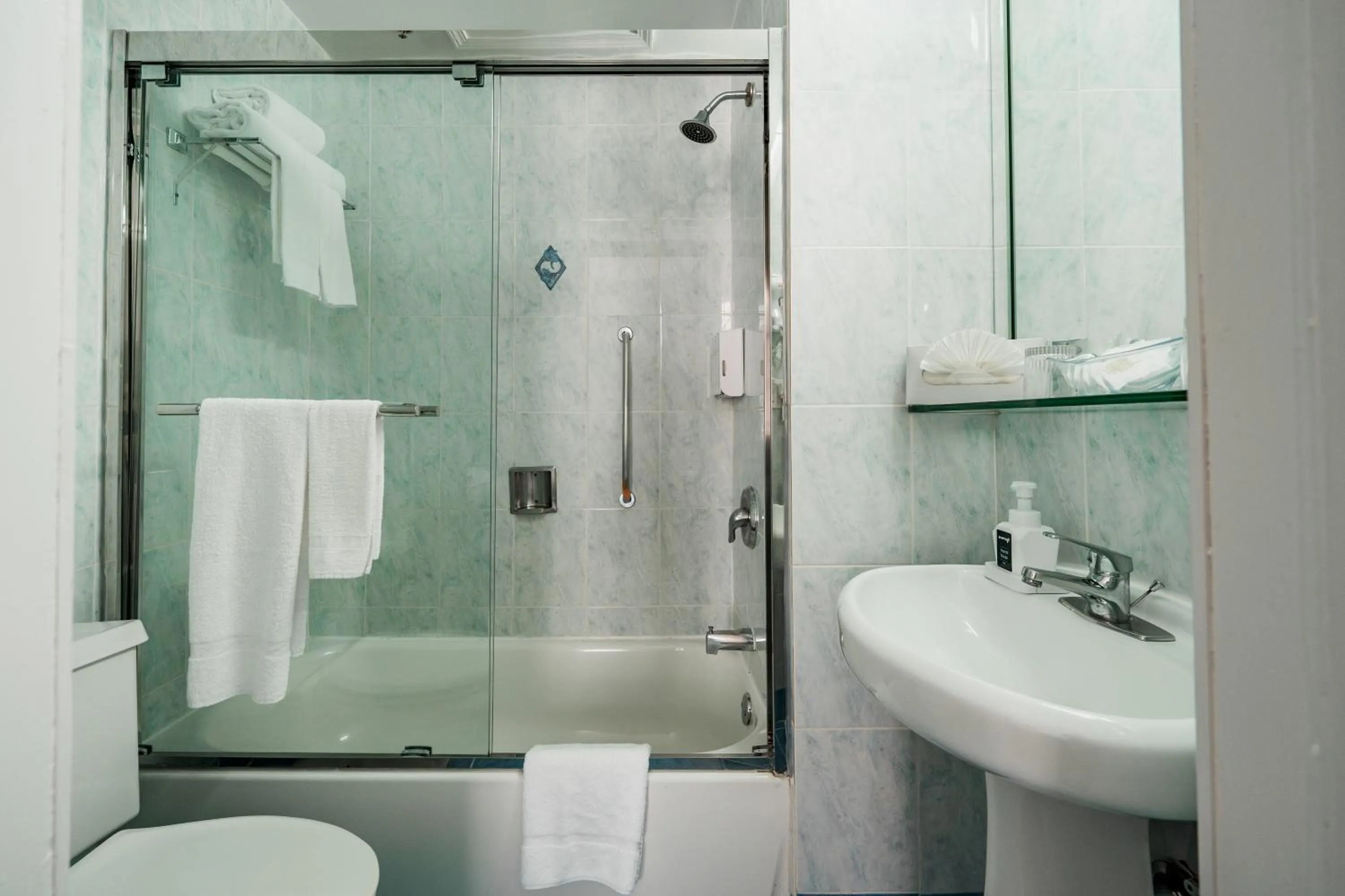 Toilet in Congress Plaza Hotel Chicago