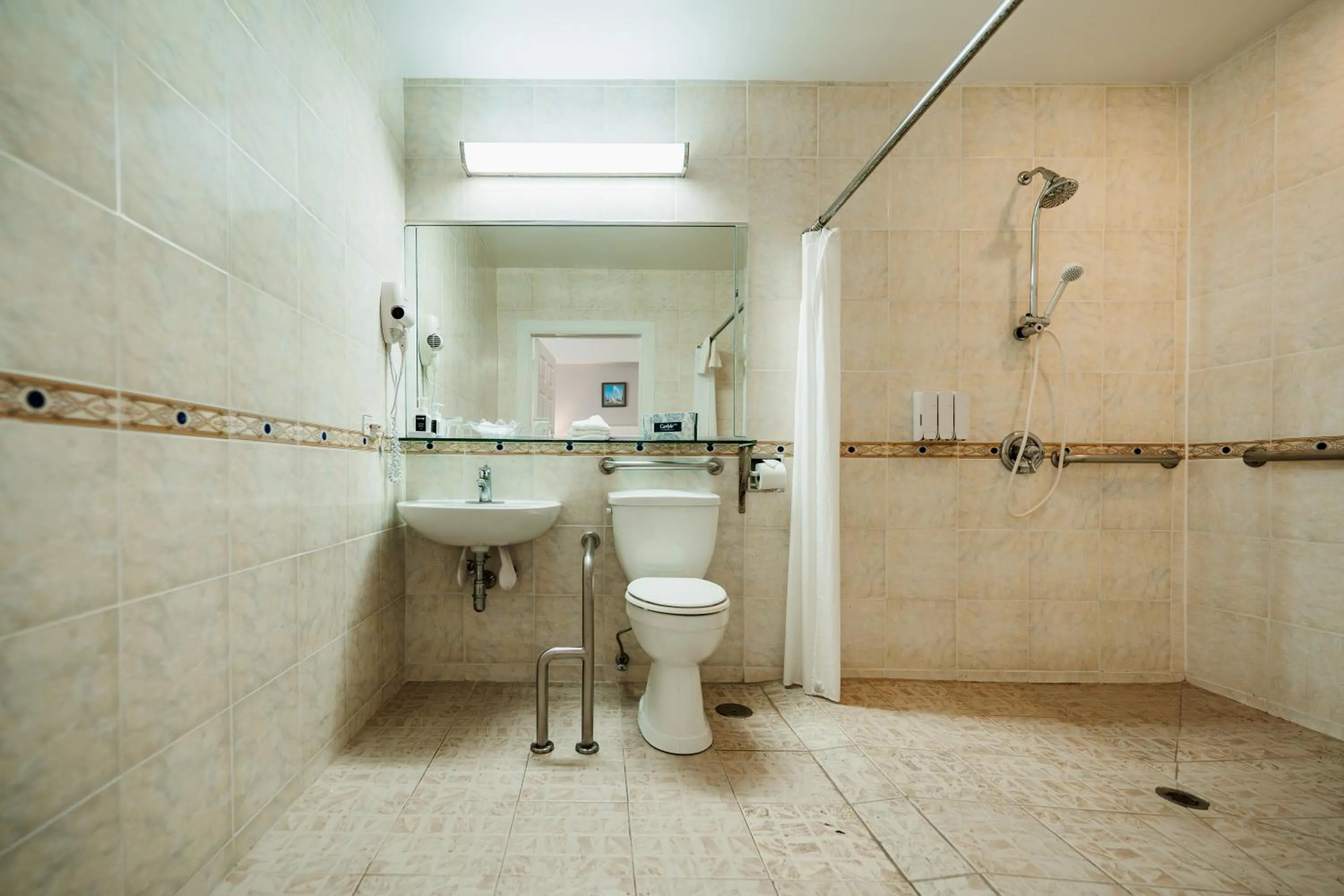 Toilet in Congress Plaza Hotel Chicago