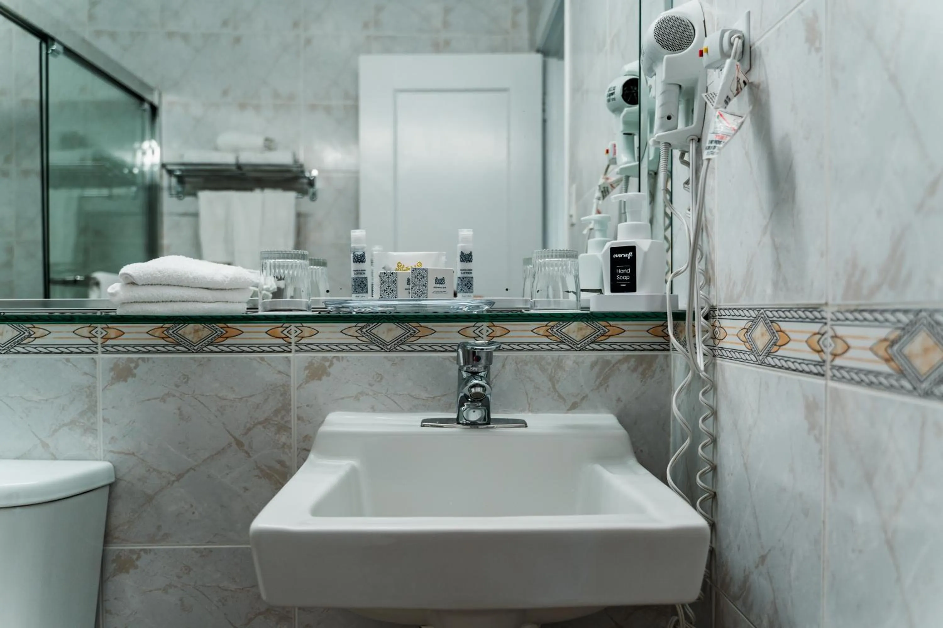 Toilet in Congress Plaza Hotel Chicago