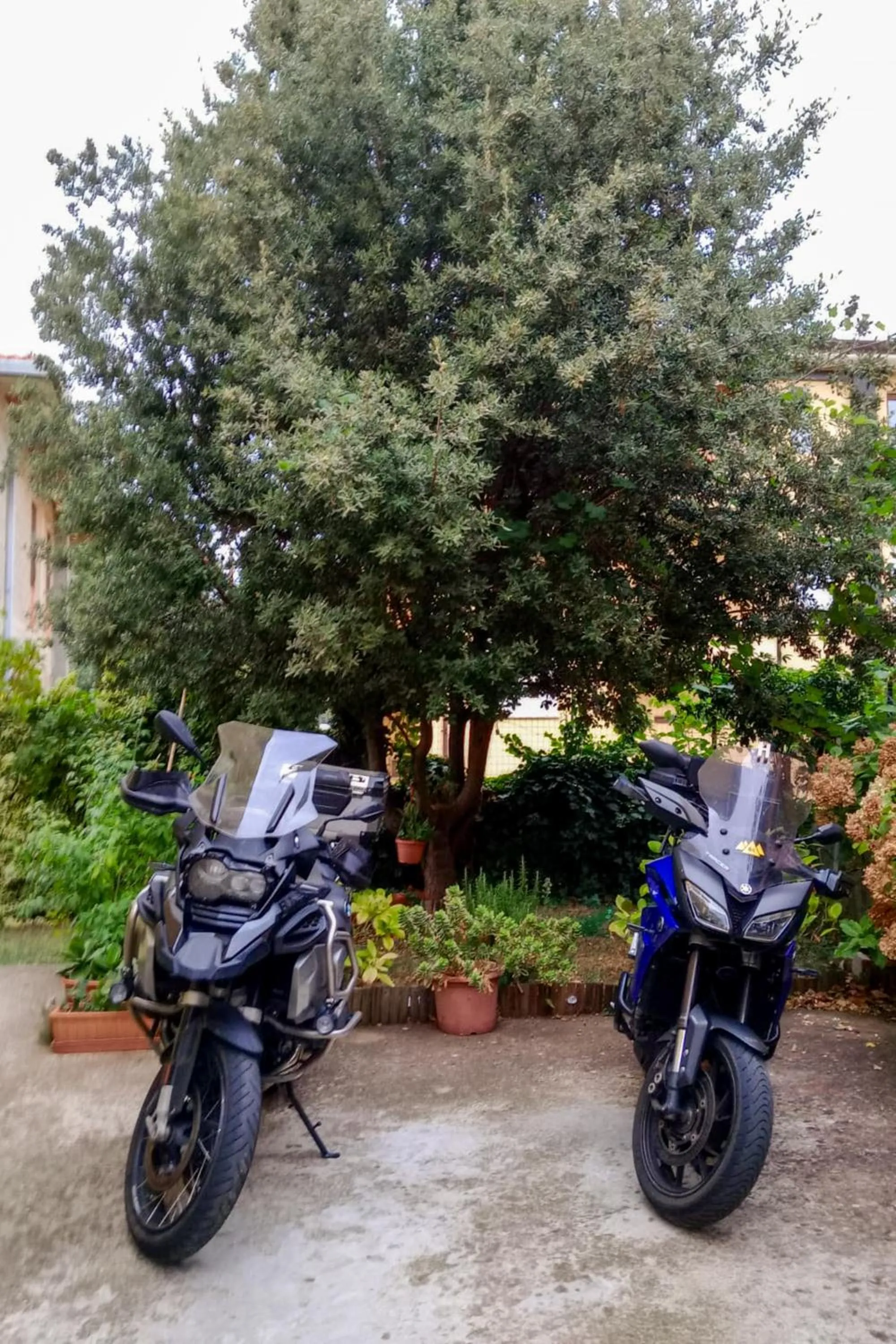 affittacamere S'Ortensia