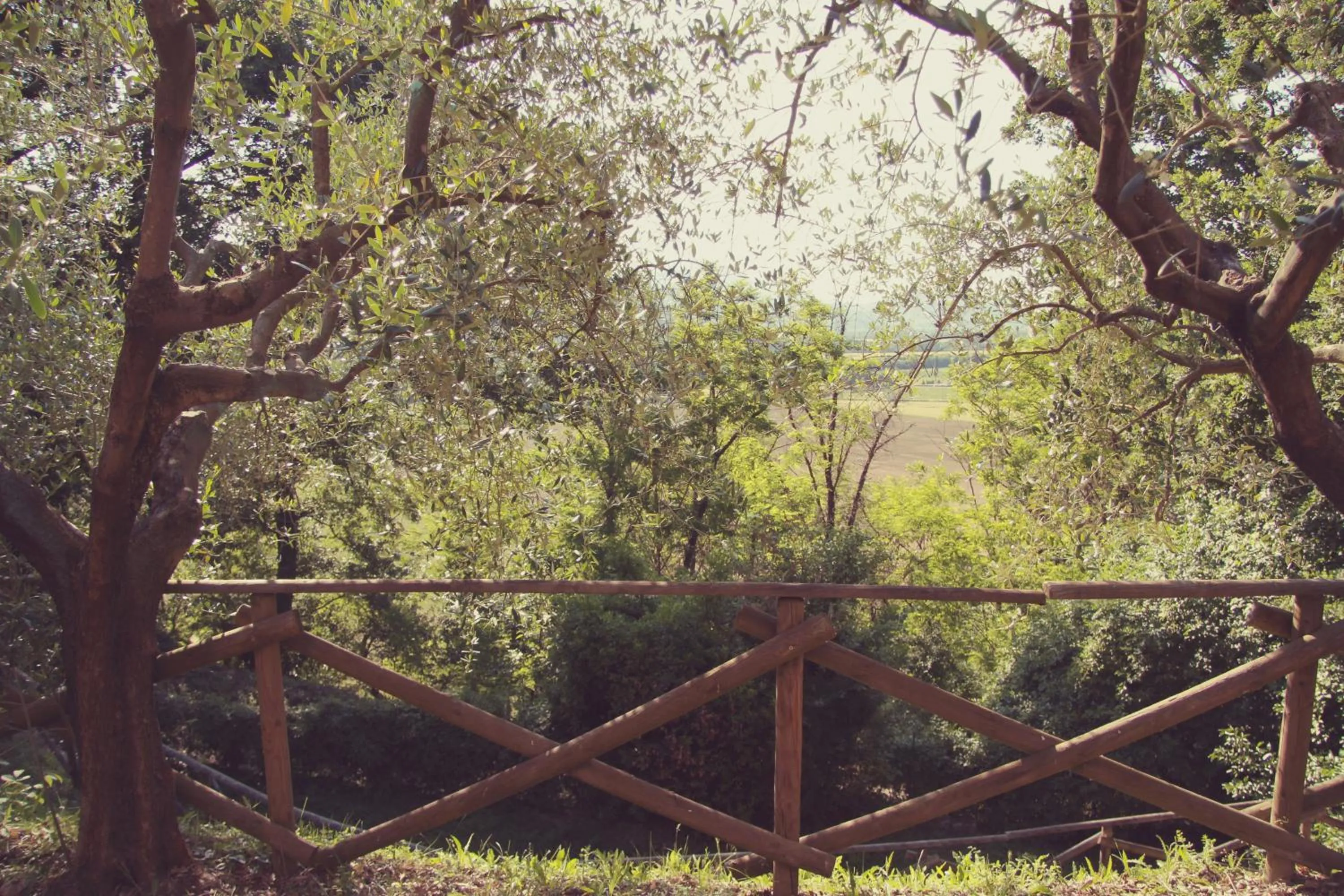 Garden view in Il Querceto