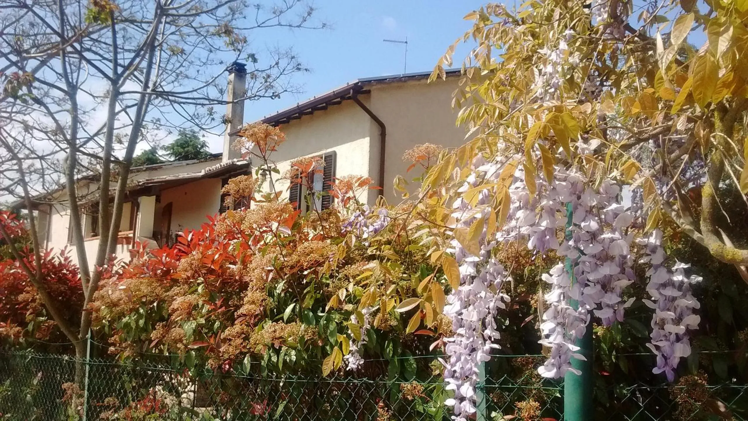 Bird's eye view in Il Querceto