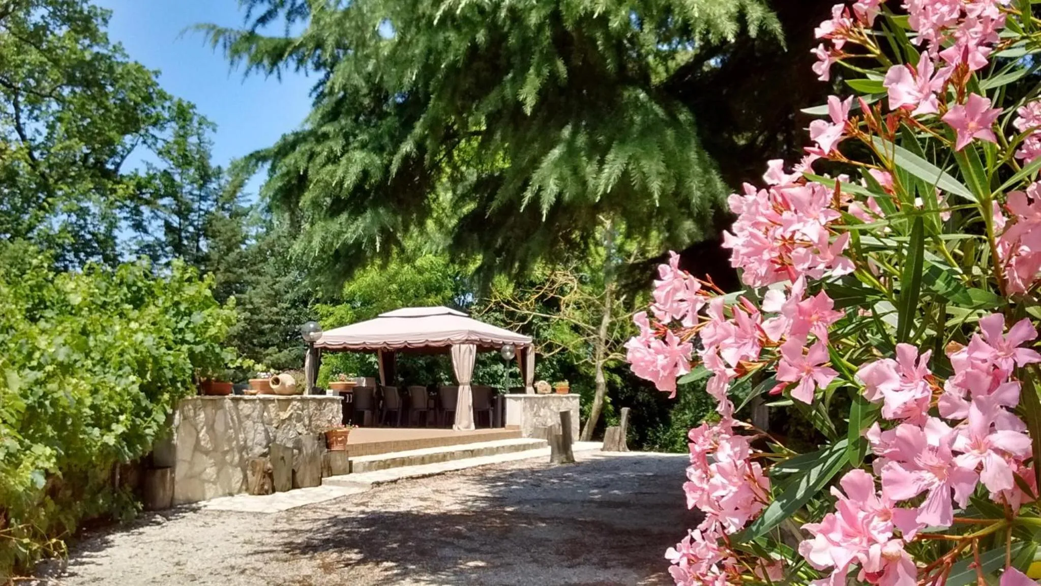 Garden view in Il Querceto