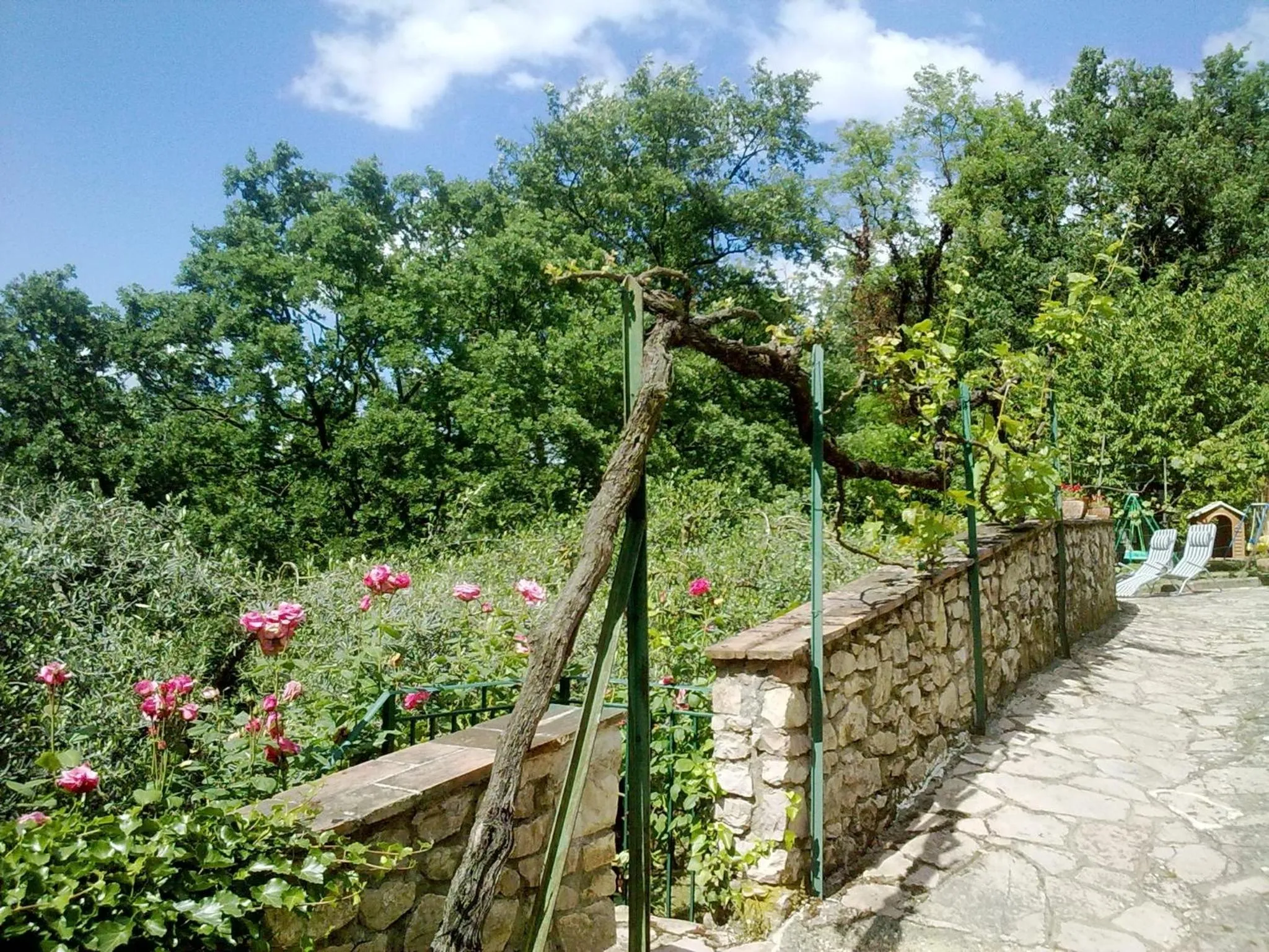 Balcony/Terrace in Il Querceto