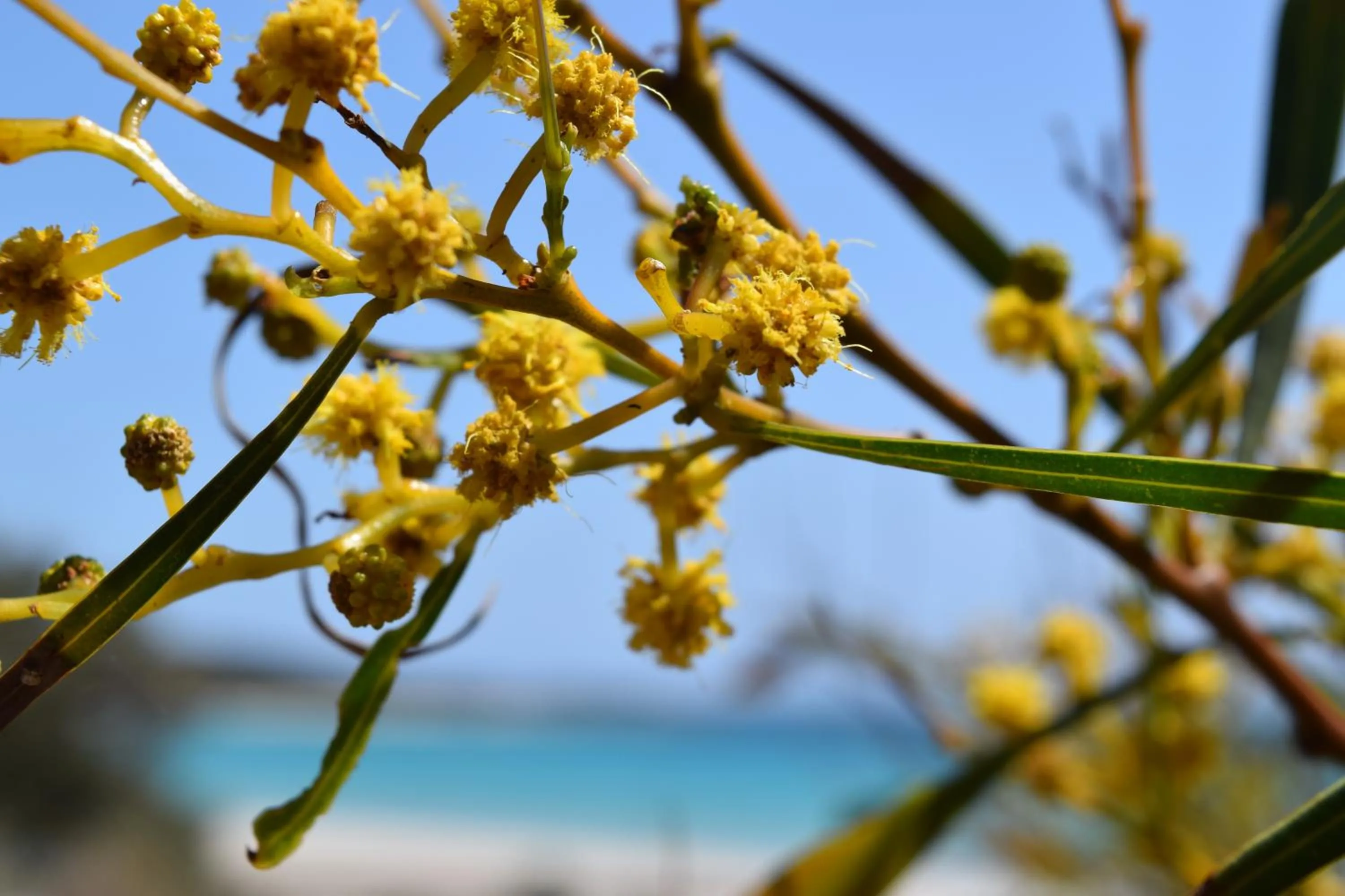 Natural landscape in Eagle Bay House