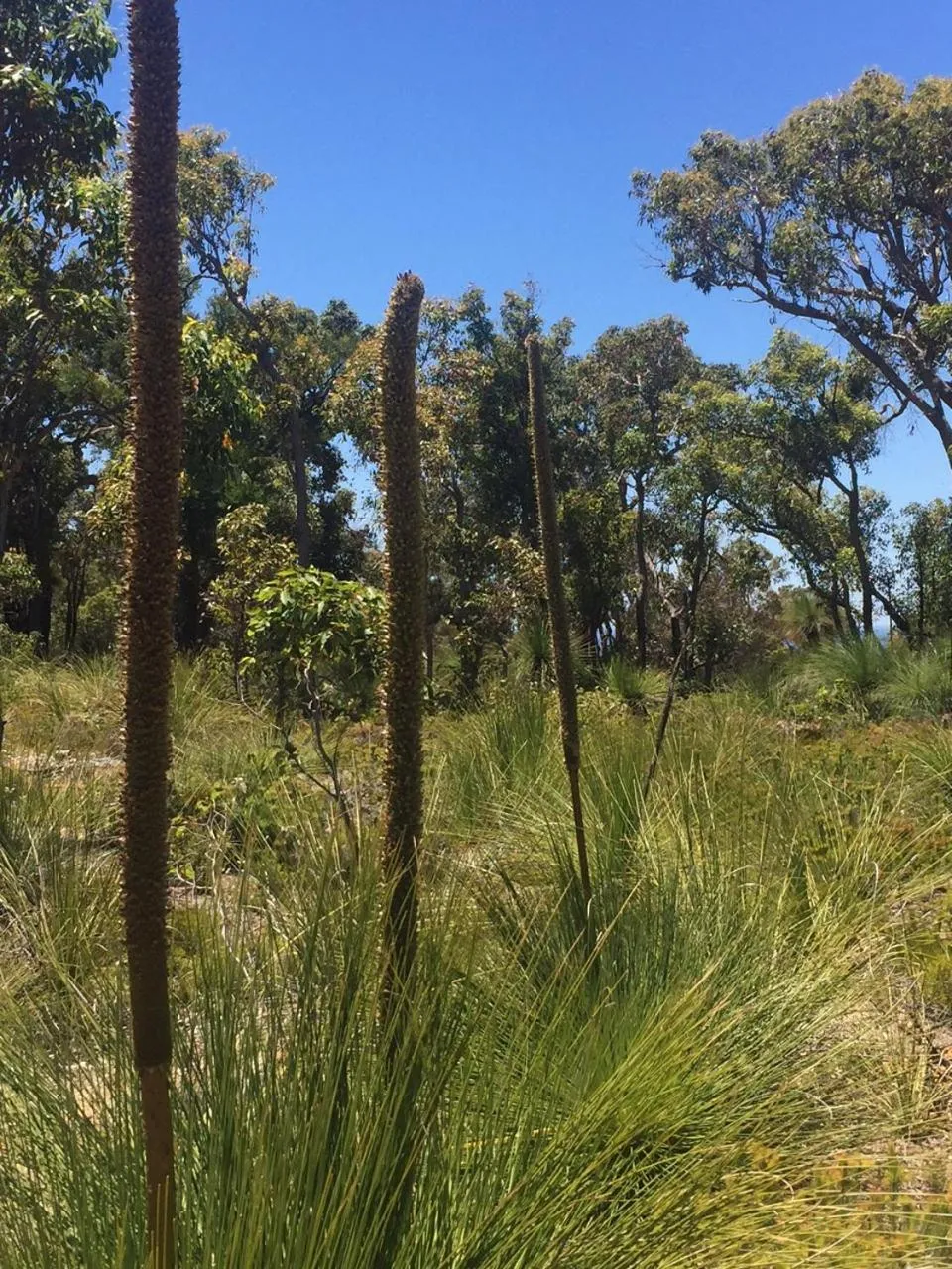 Natural landscape in Eagle Bay House