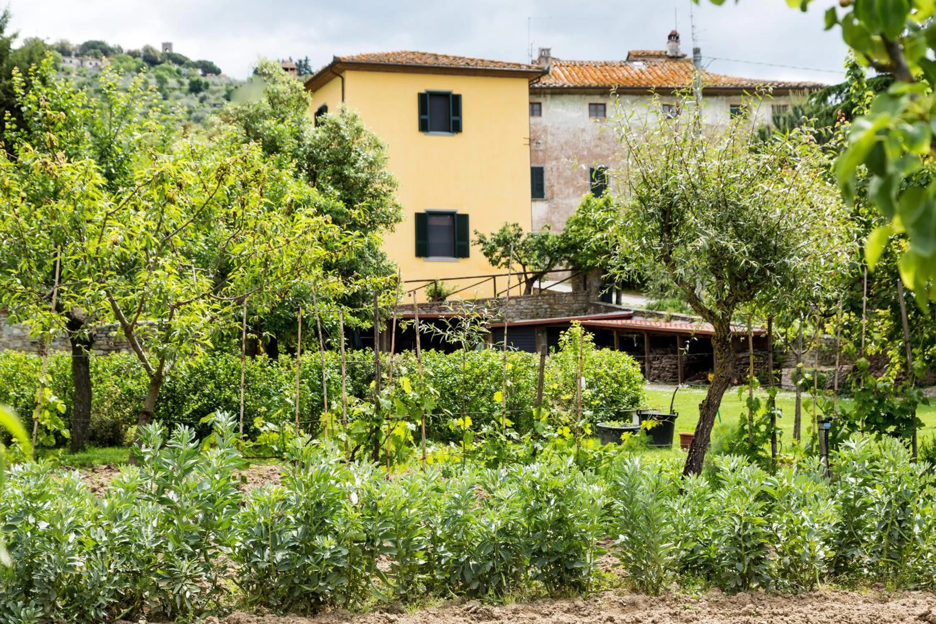 Facade/entrance in Casale Vacanze Il Granaio