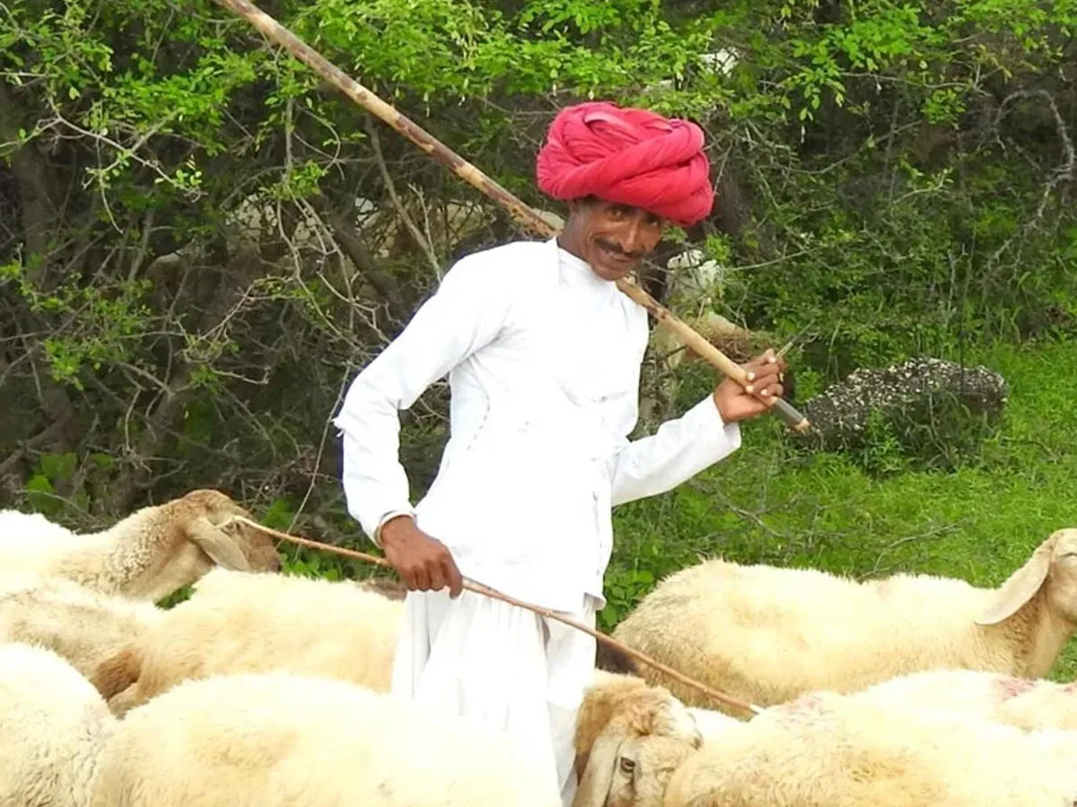Activities in Thour Nature Resorts - Jawai Leopard Safari Camp