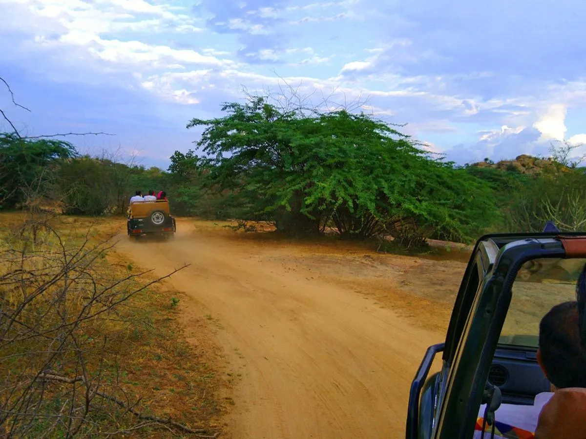 Animals in Thour Nature Resorts - Jawai Leopard Safari Camp