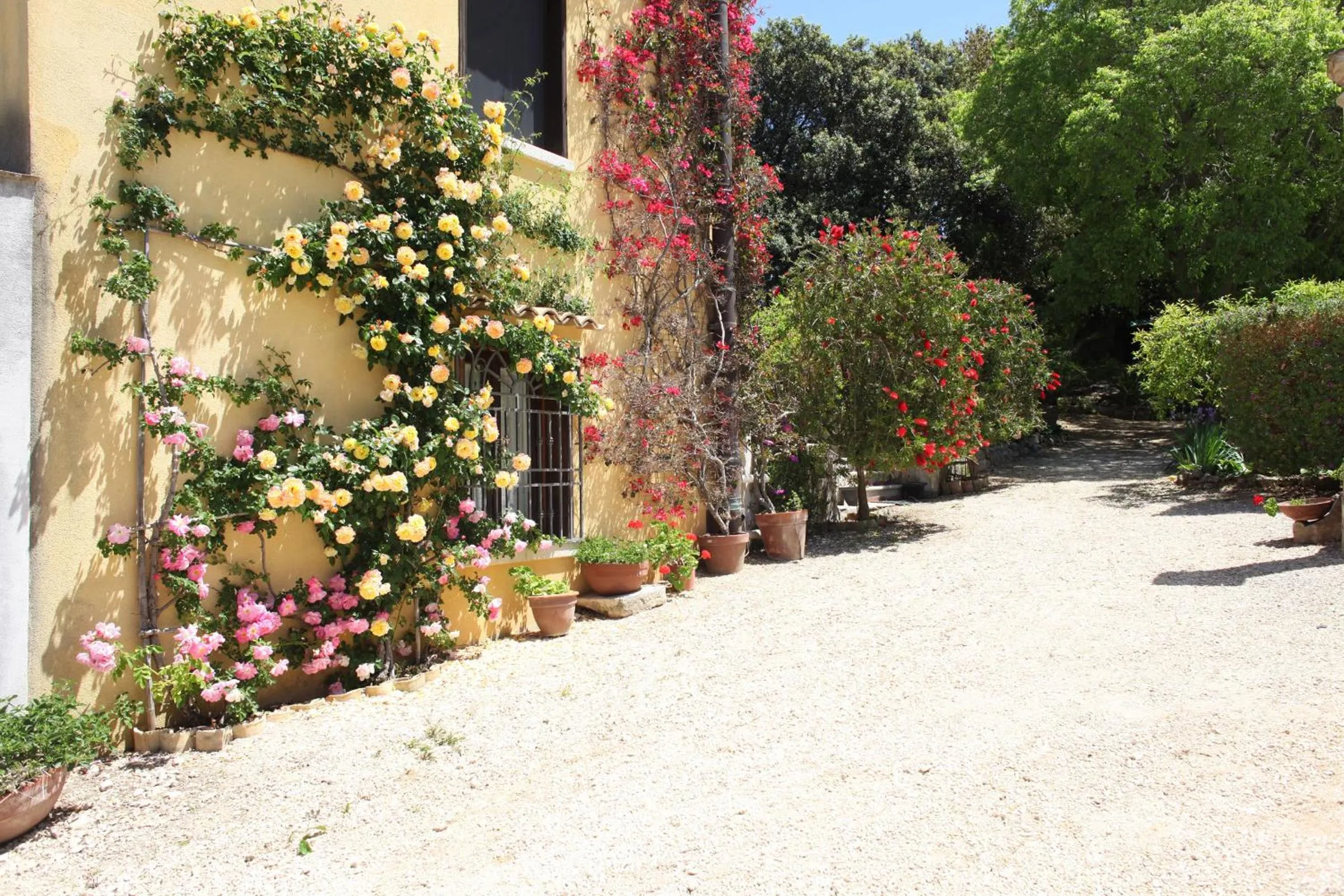 Spring in Bed And Breakfast Villa Pilati