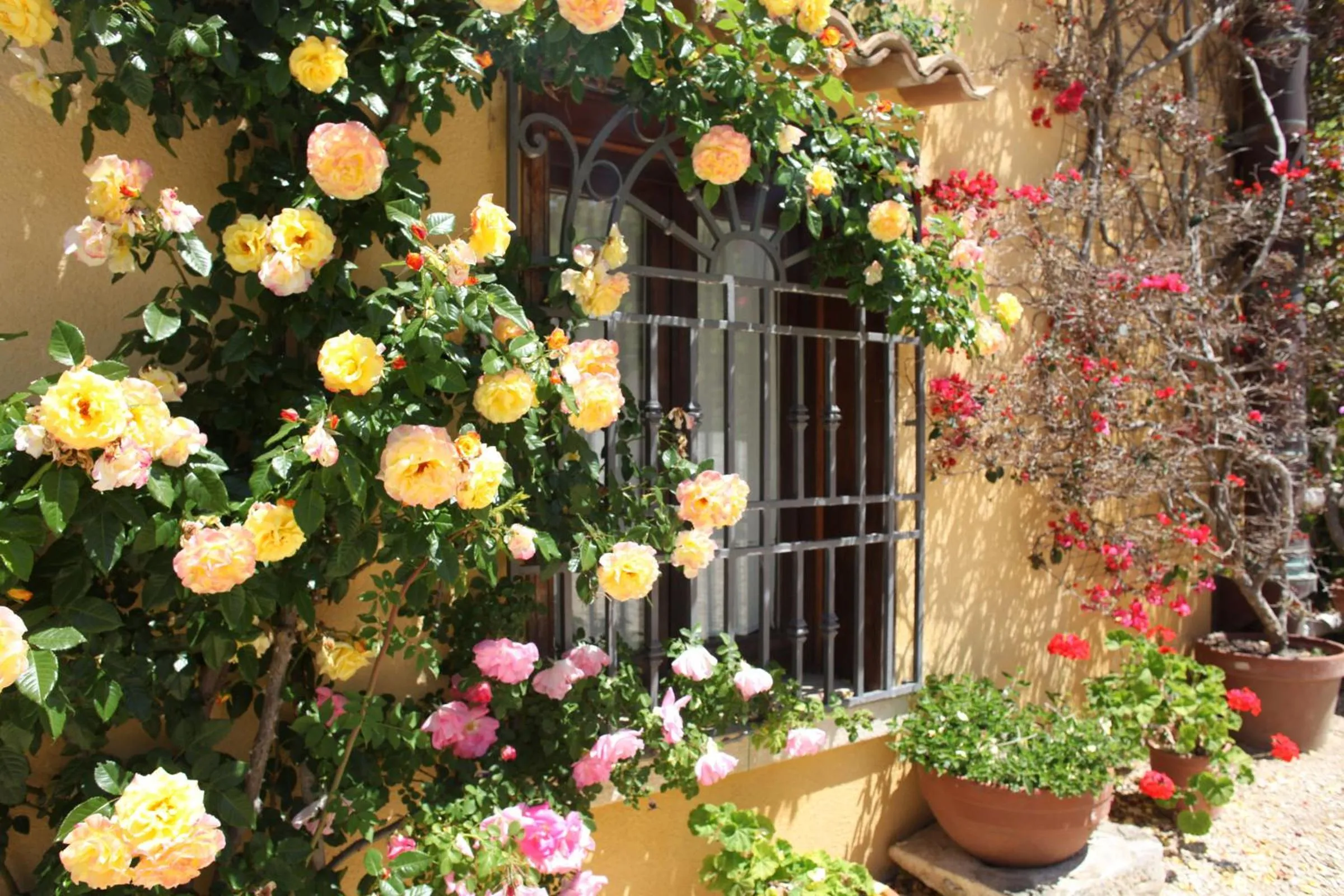 Spring in Bed And Breakfast Villa Pilati