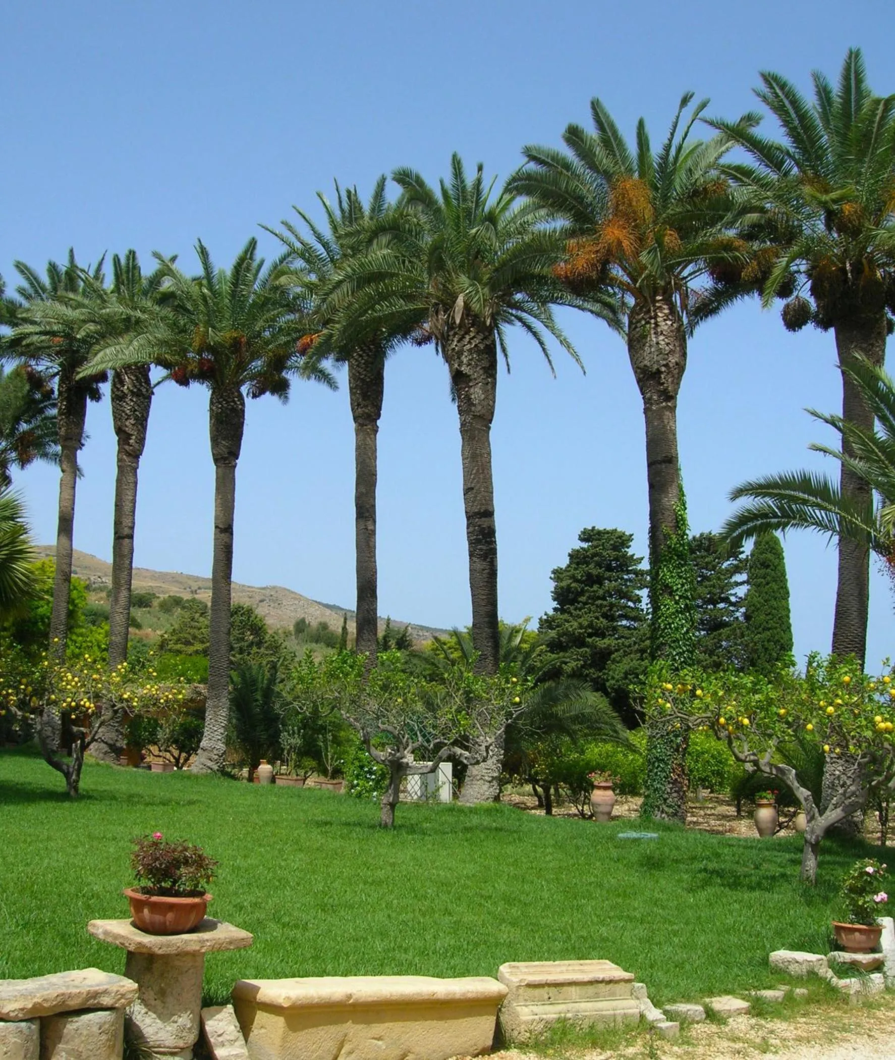 Garden in Bed And Breakfast Villa Pilati