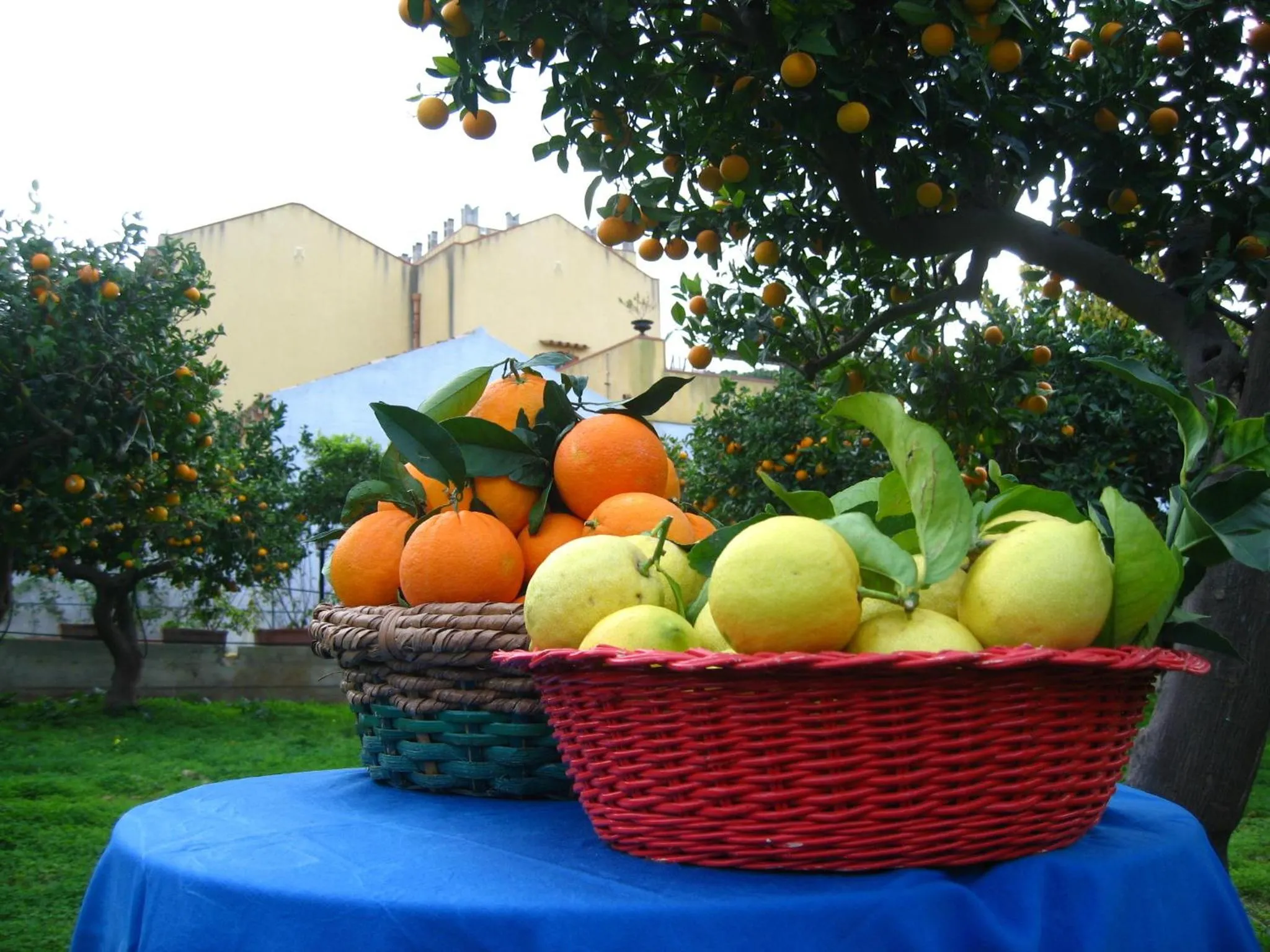Food in Bed And Breakfast Villa Pilati
