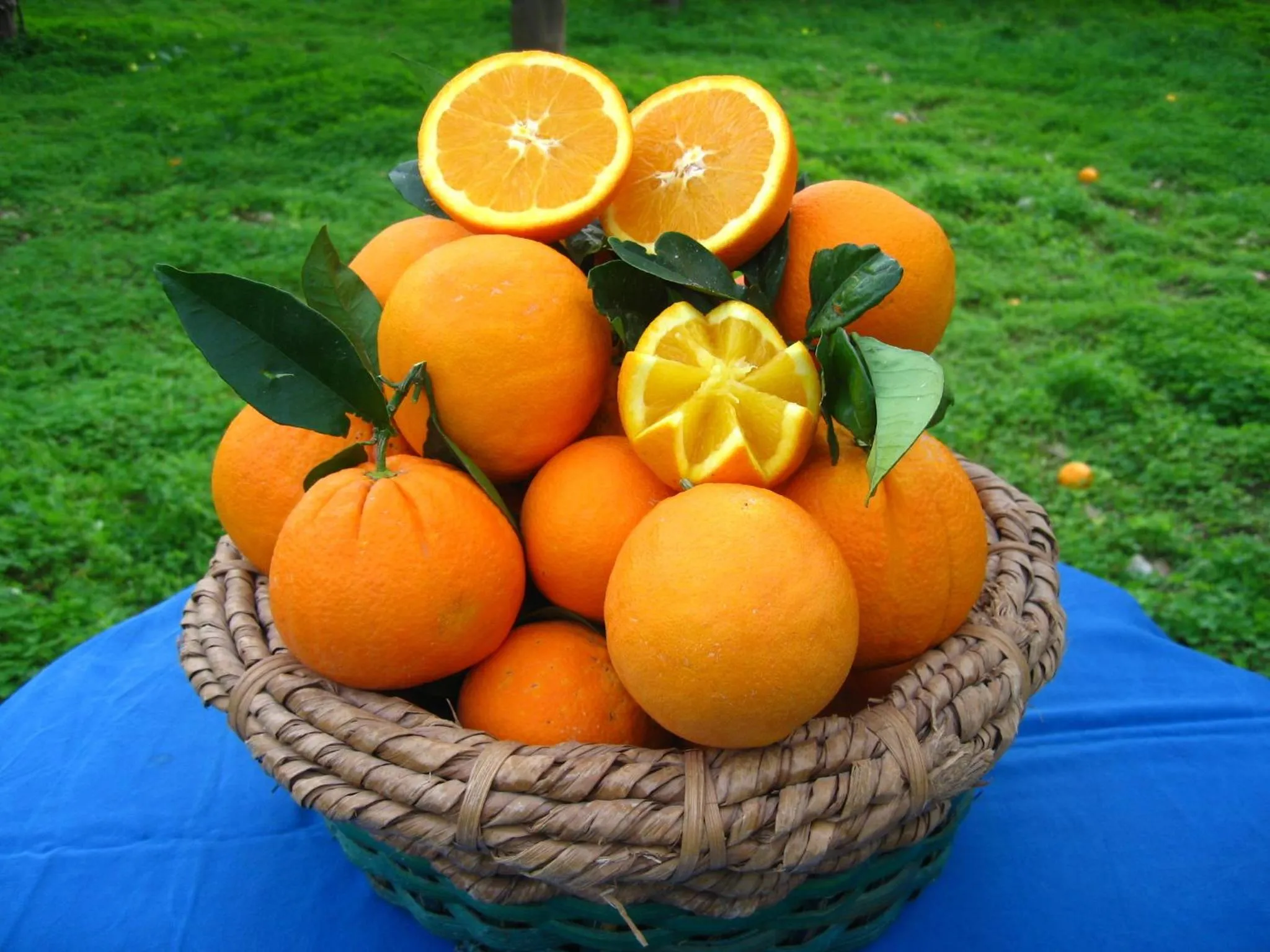 Food in Bed And Breakfast Villa Pilati