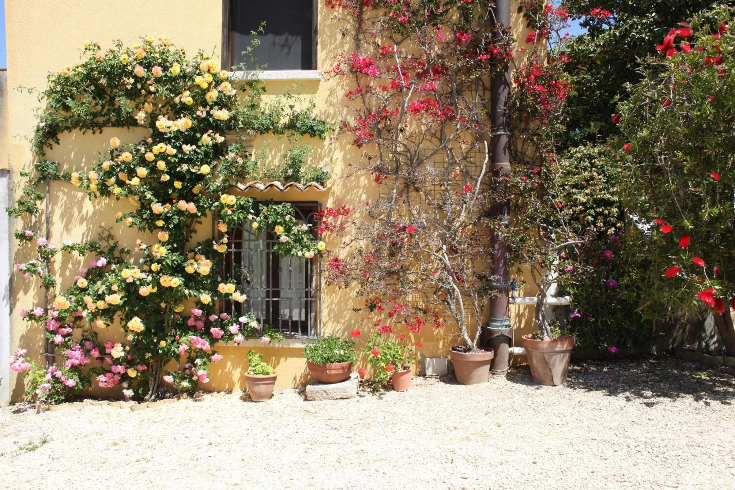 Spring in Bed And Breakfast Villa Pilati
