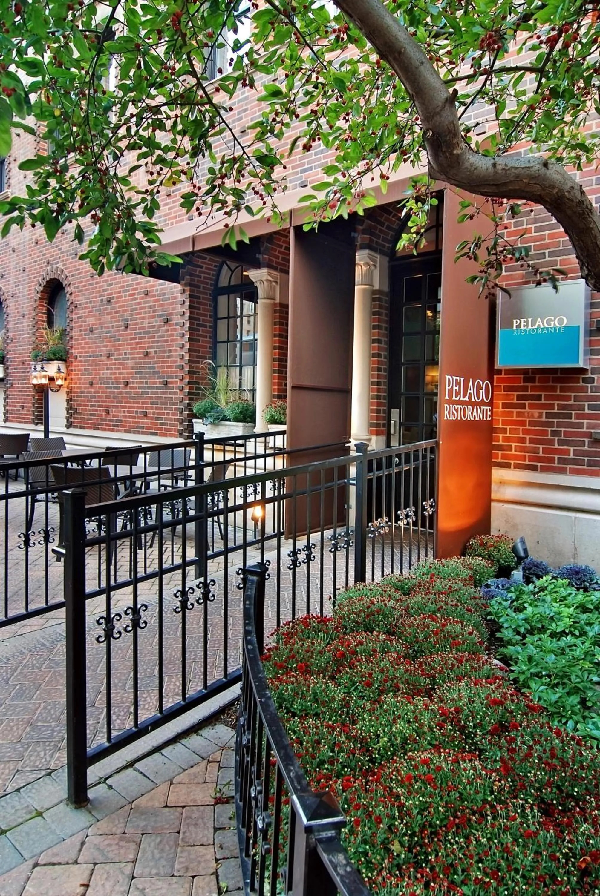 Restaurant/places to eat in Raffaello Hotel