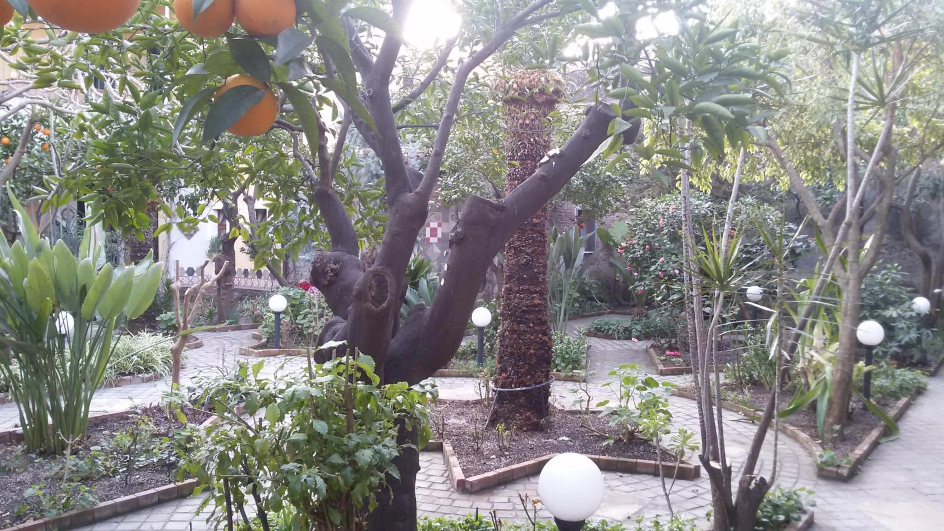 Garden in La Baronessa B&B