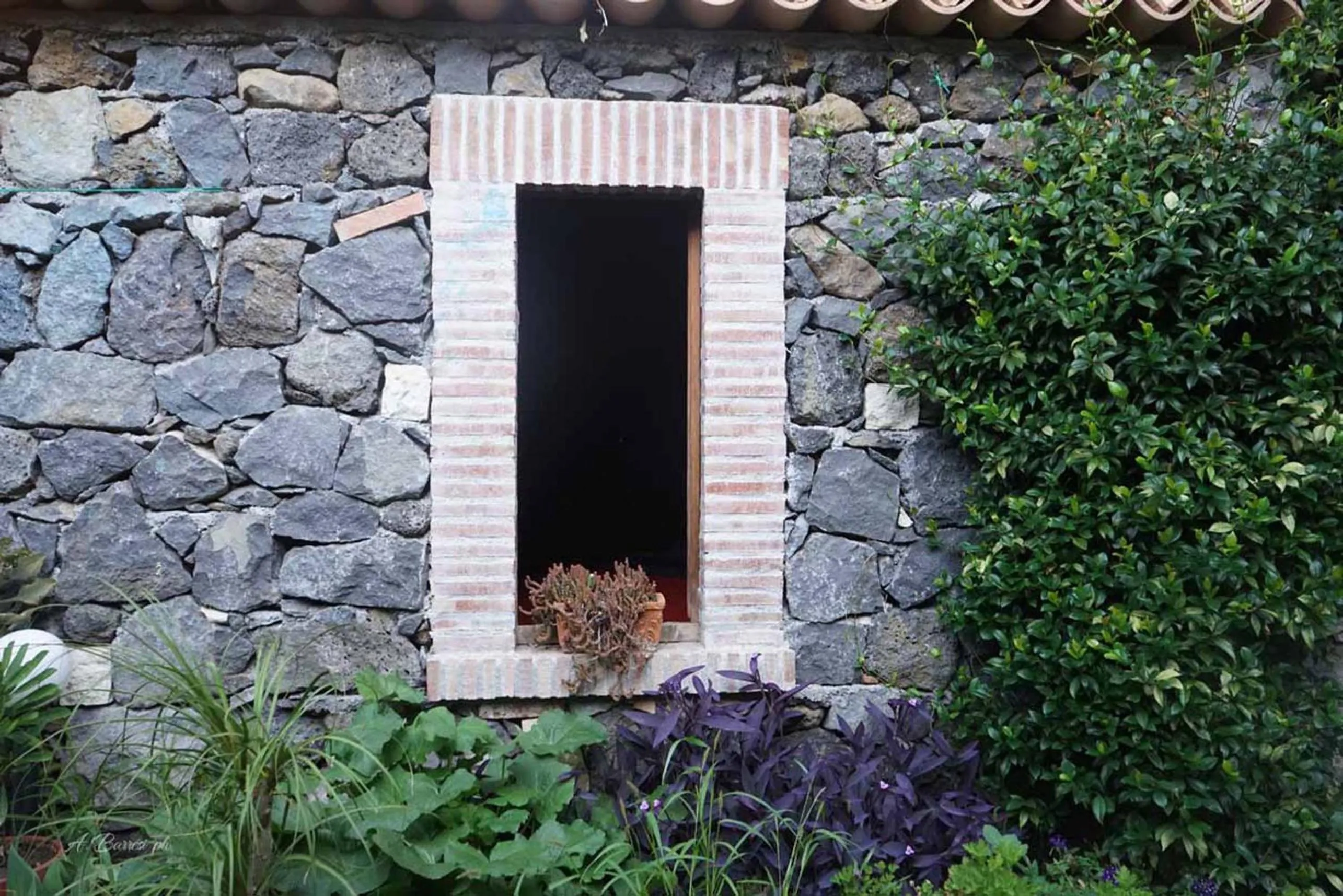 Garden in La Baronessa B&B