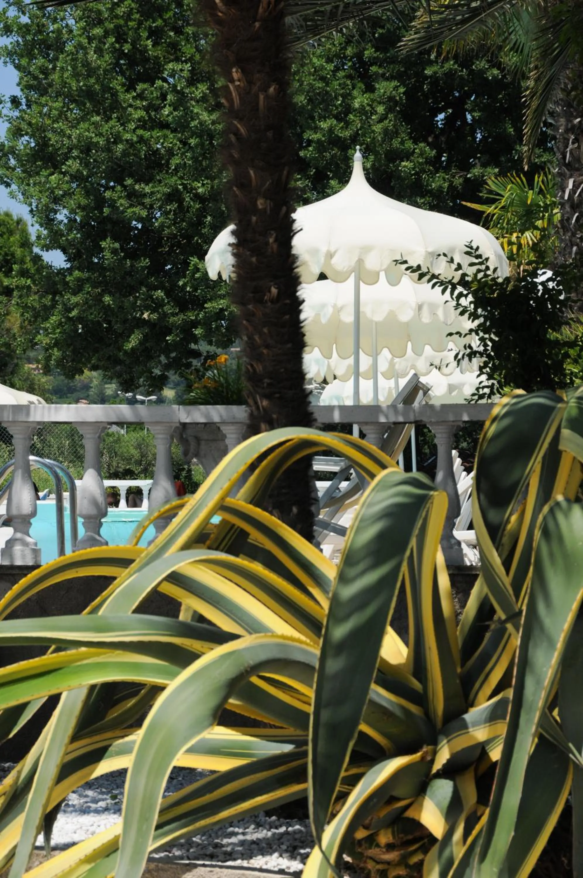 Day in Camping Village Riviera