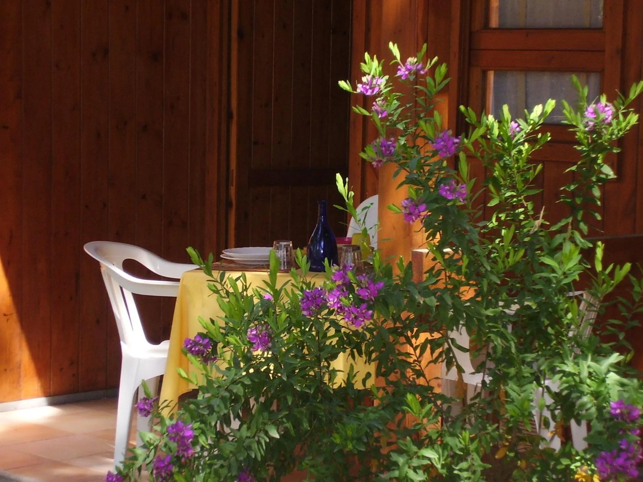 Patio in Camping Village Riviera