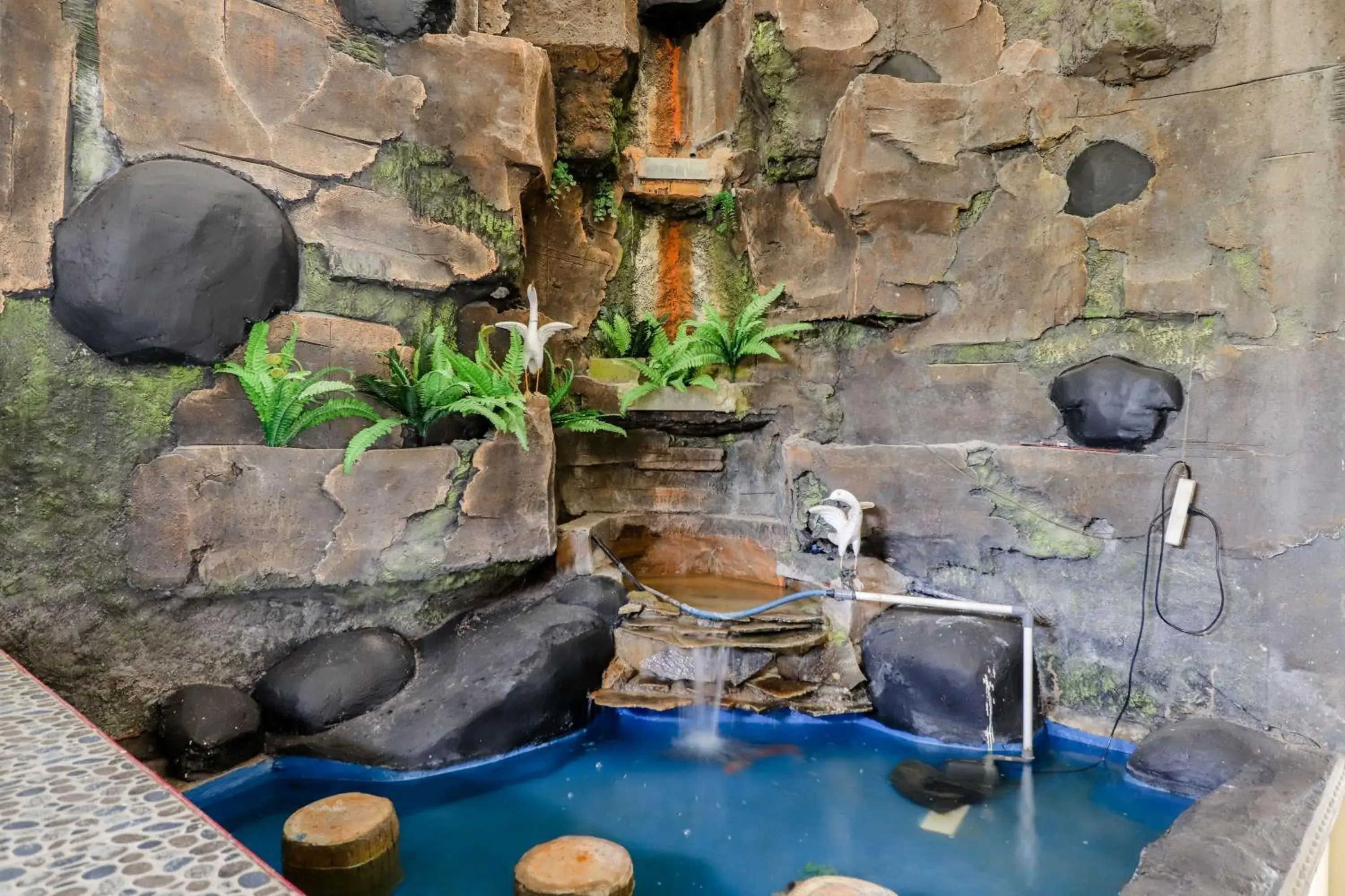 Pool view in Dewisri Homestay Pool view in Dewisri Homestay