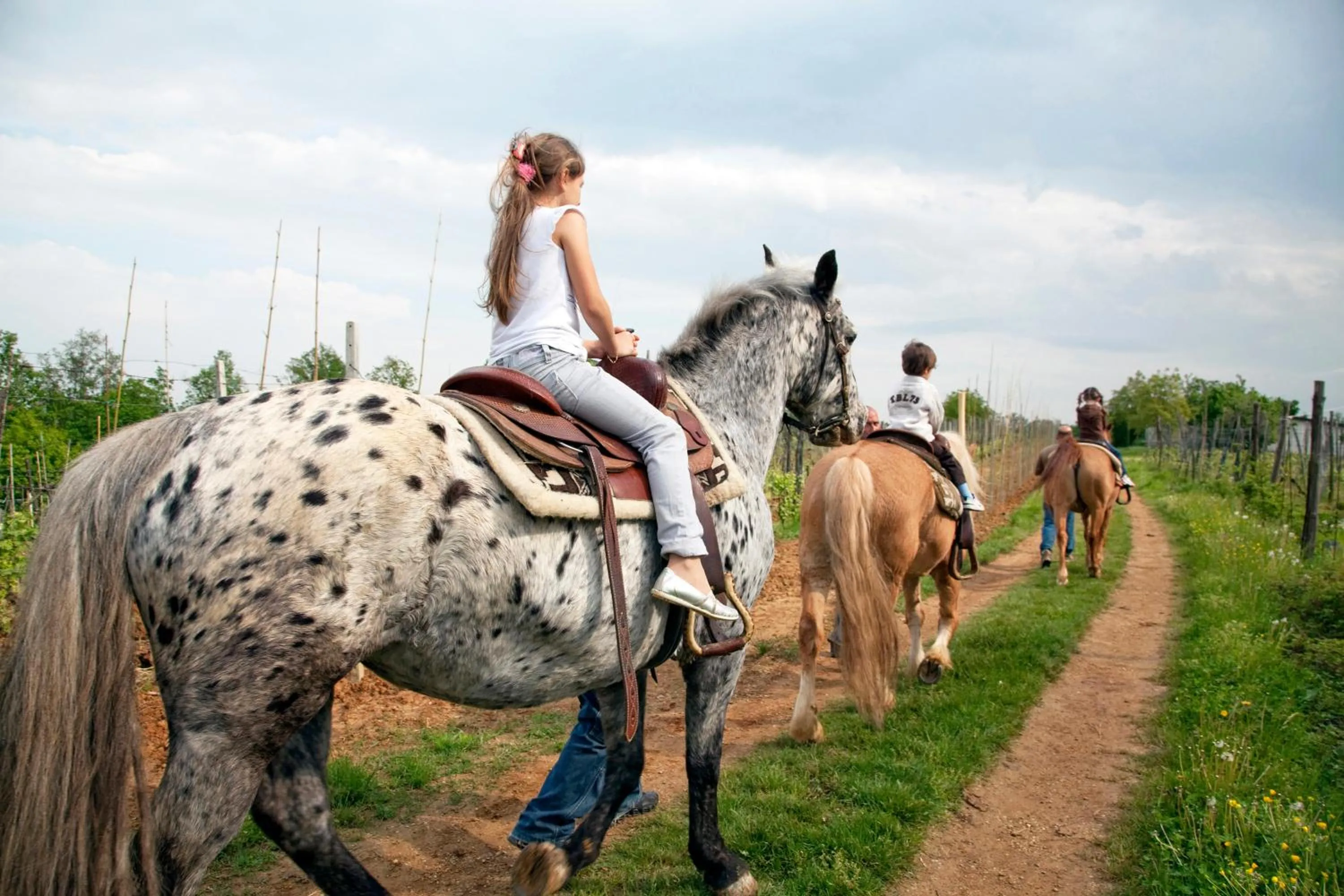 Horse-riding in Cascina Papa Mora