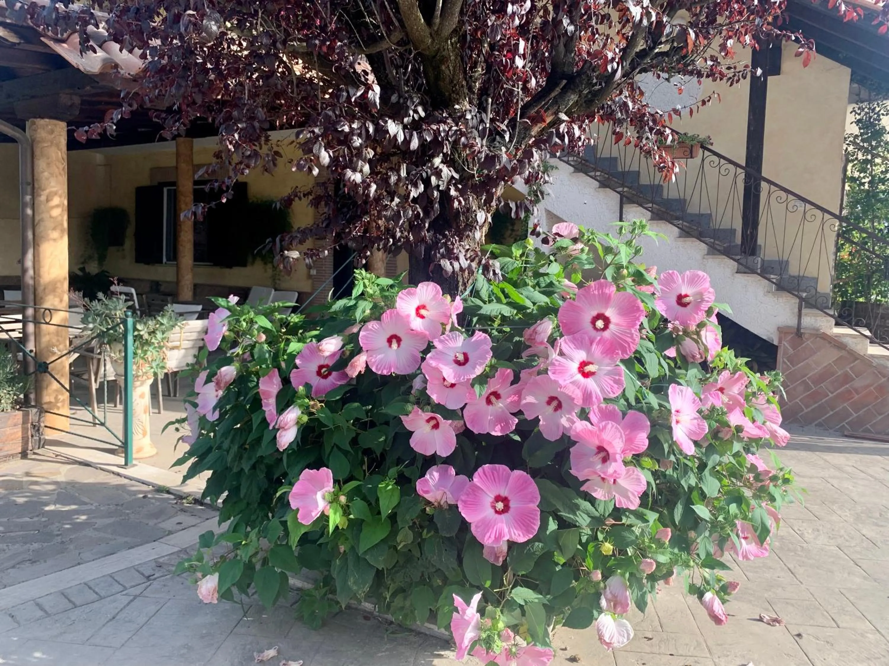 Patio in Residenza Cerci