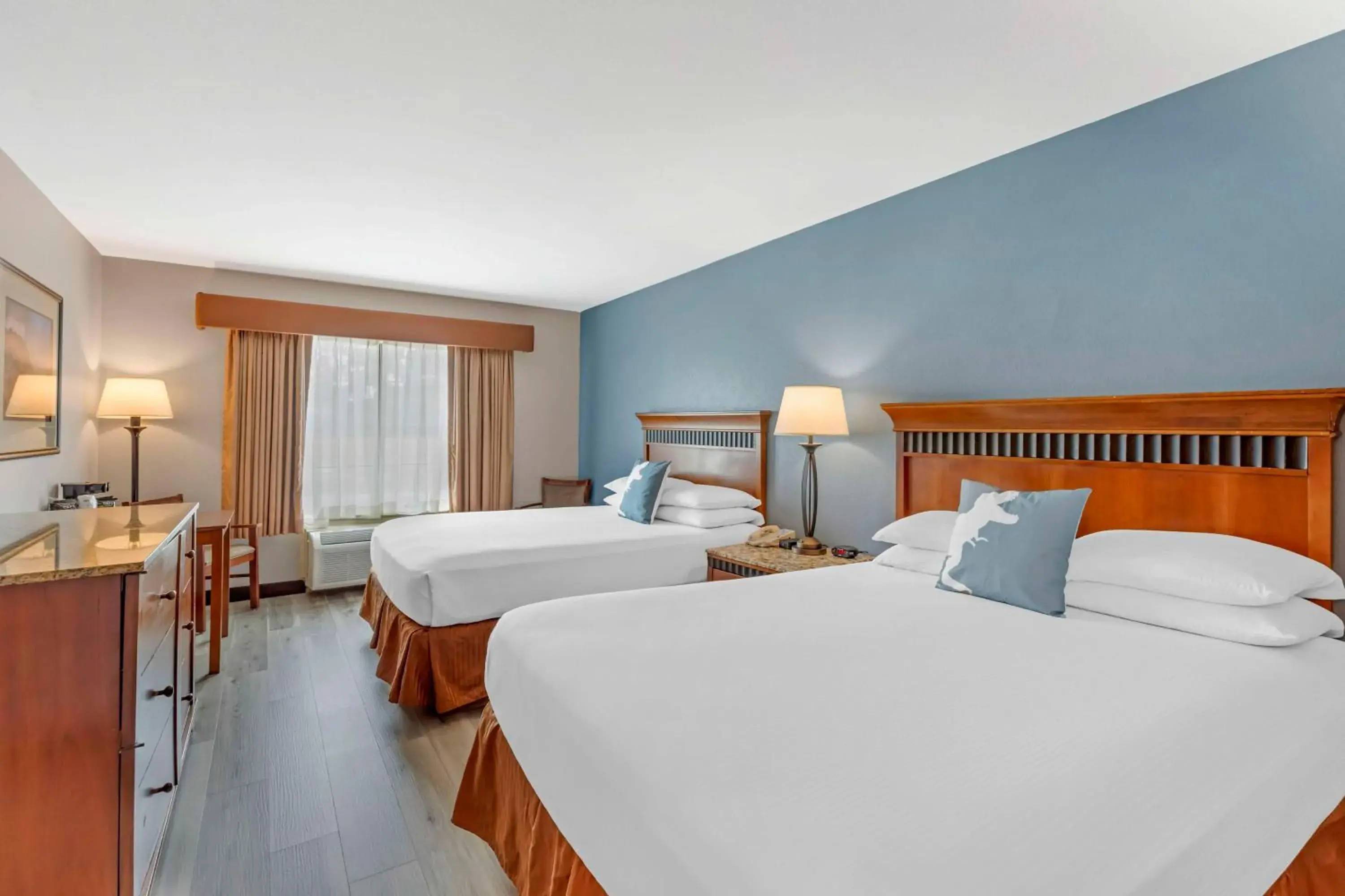 Bedroom, Bed in Best Western Denver Southwest Bedroom, Bed in Best Western Denver Southwest