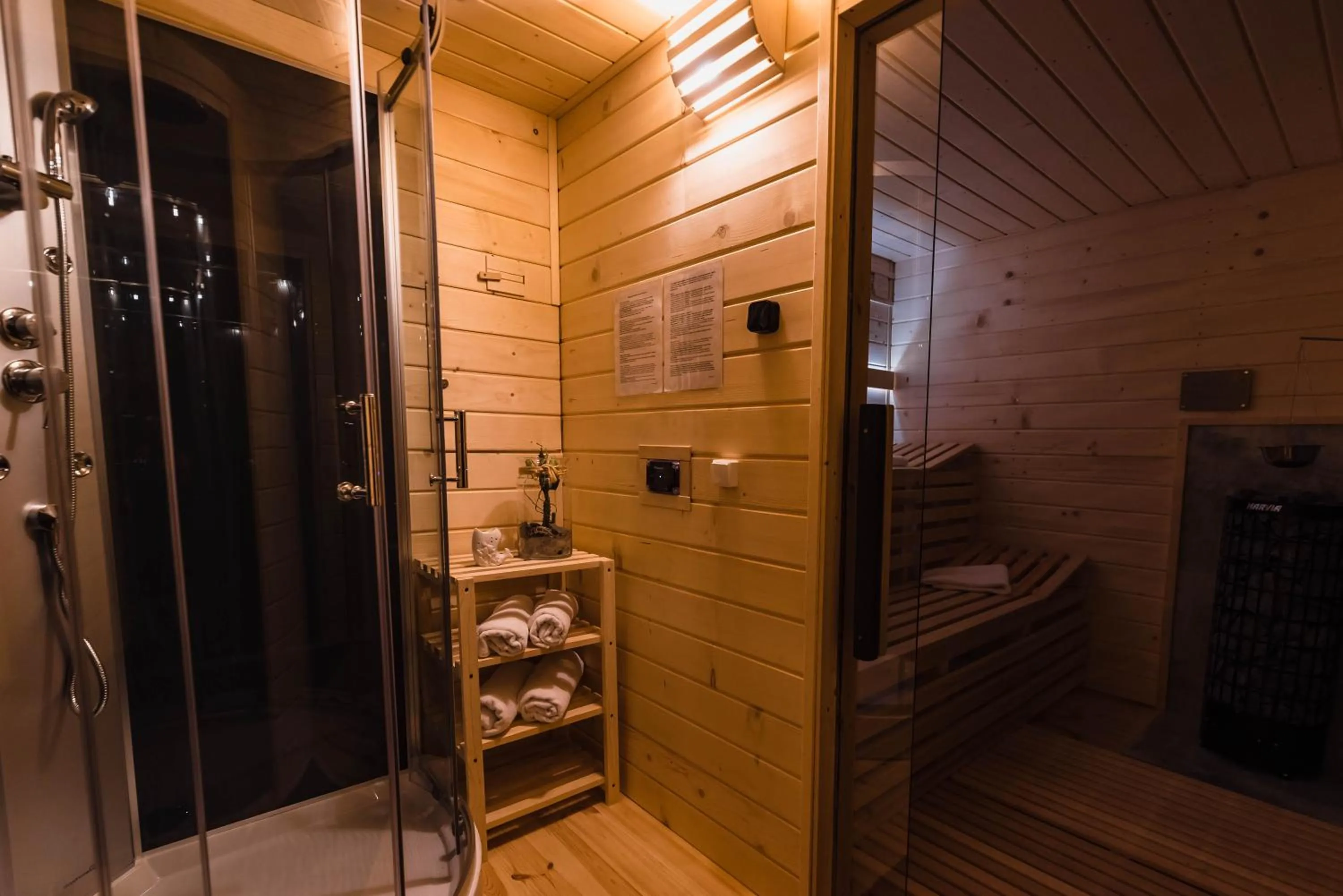 Sauna in Willa ŻeglarSki