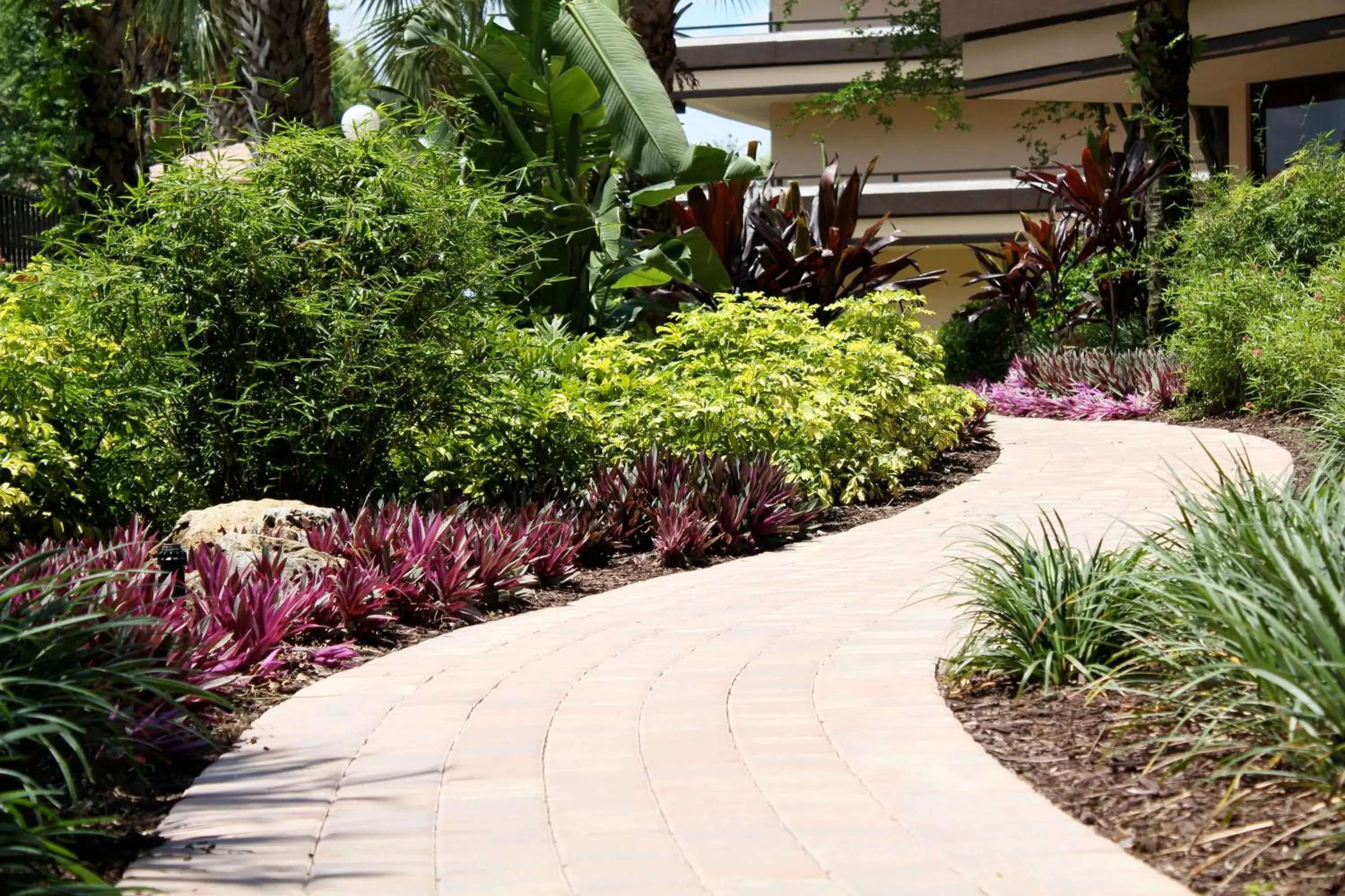 Rosen Inn at Pointe Orlando Rosen Inn at Pointe Orlando