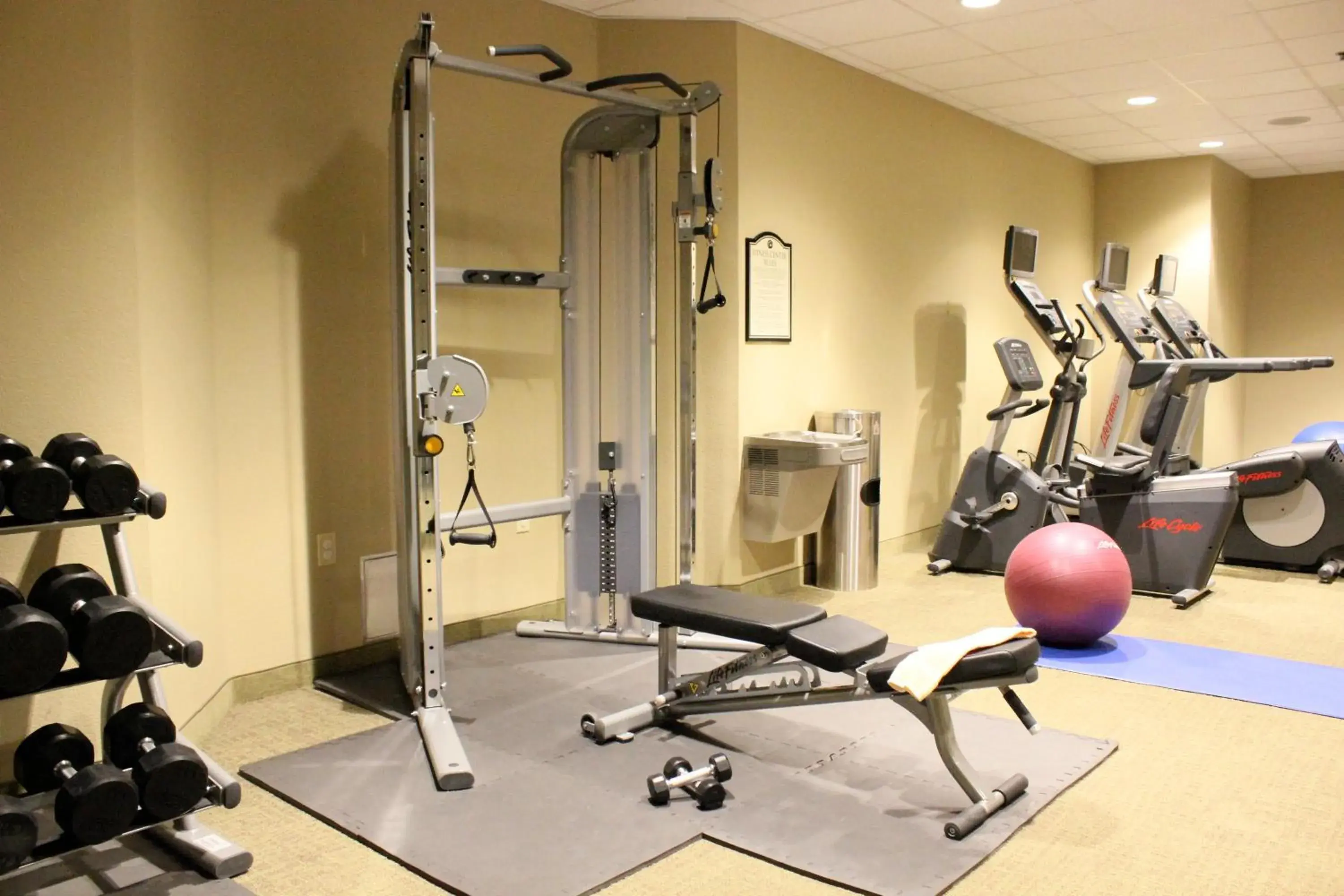 Fitness centre/facilities in Rosen Inn Closest to Universal Fitness centre/facilities in Rosen Inn Closest to Universal