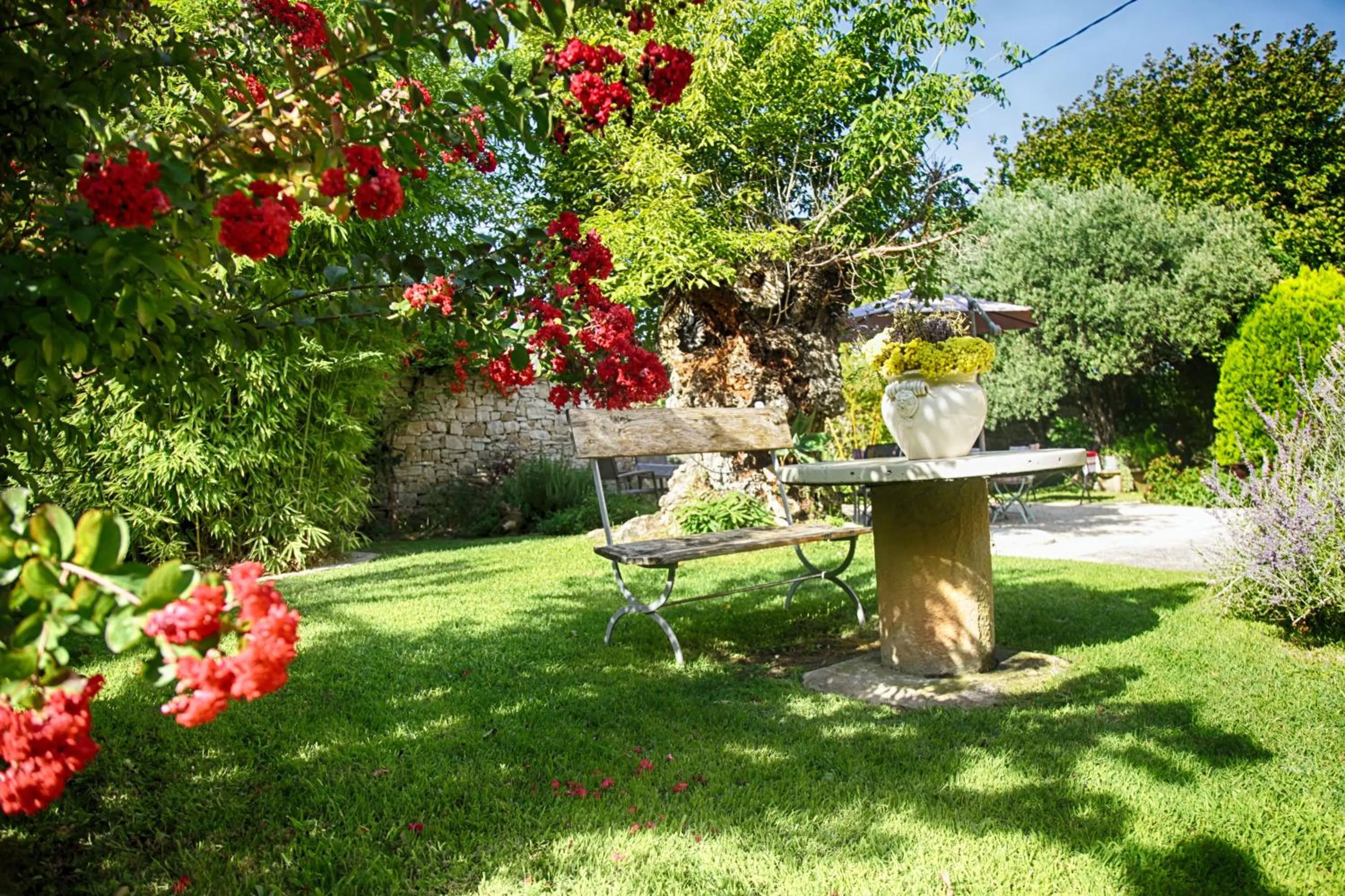 Garden in Bastide Sainte Agnès