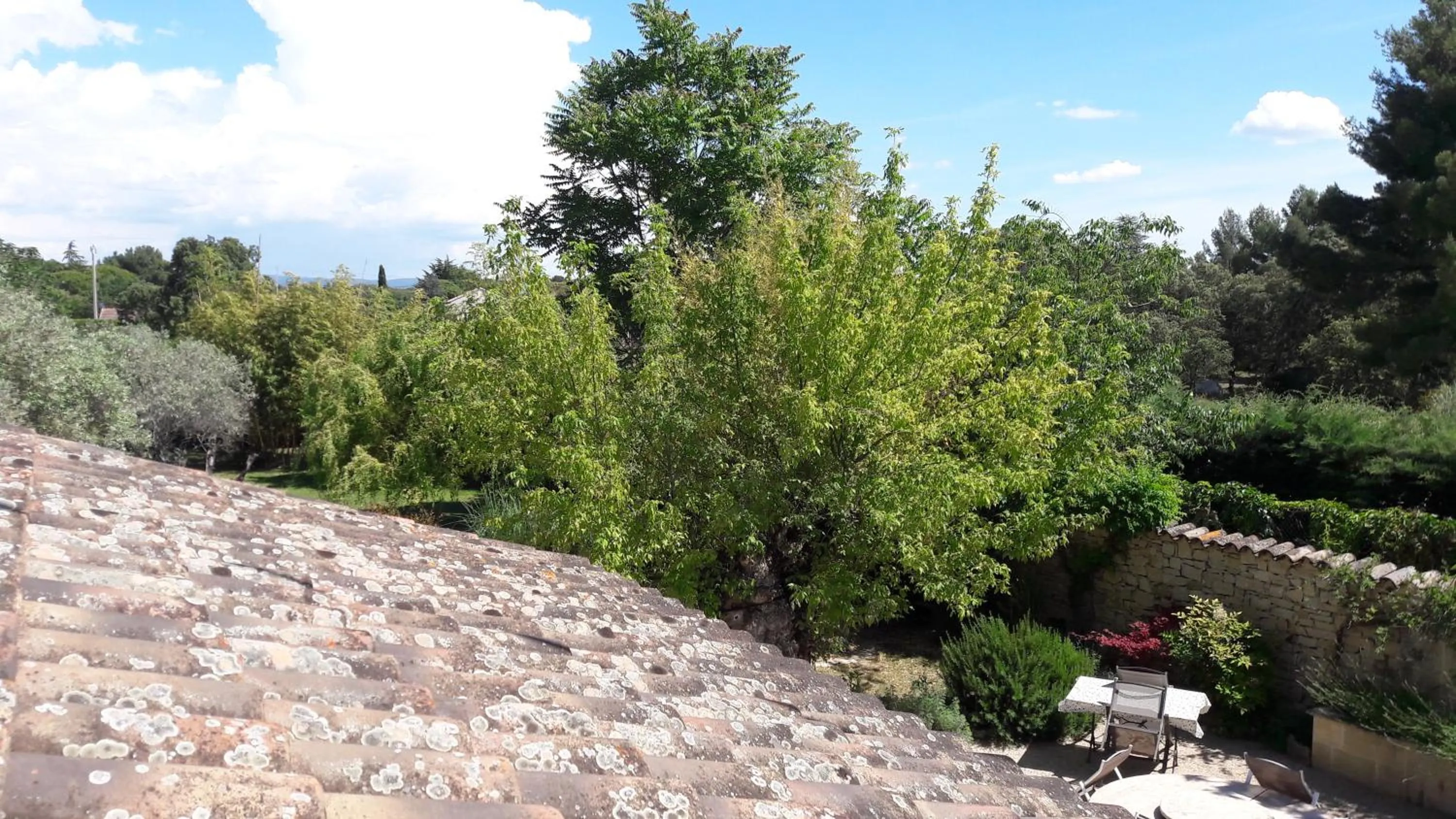 Garden view in Bastide Sainte Agnès