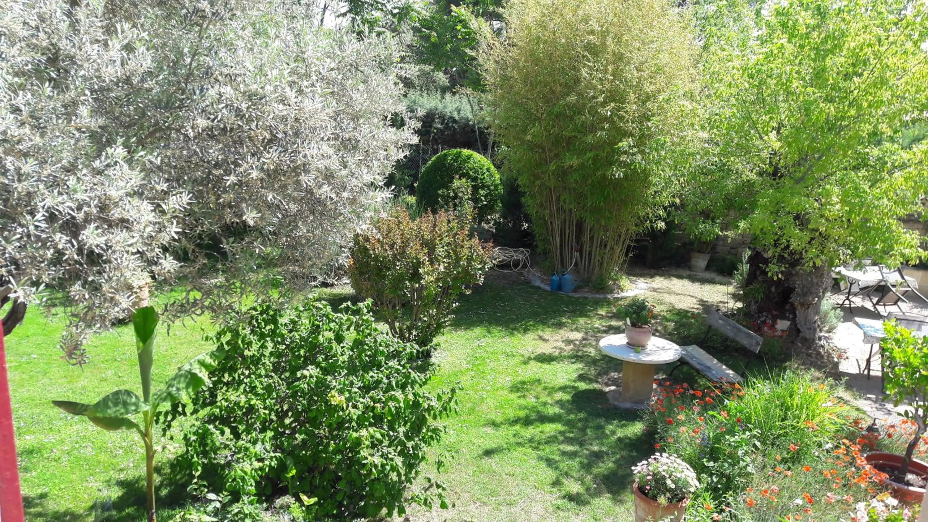 Garden view in Bastide Sainte Agnès