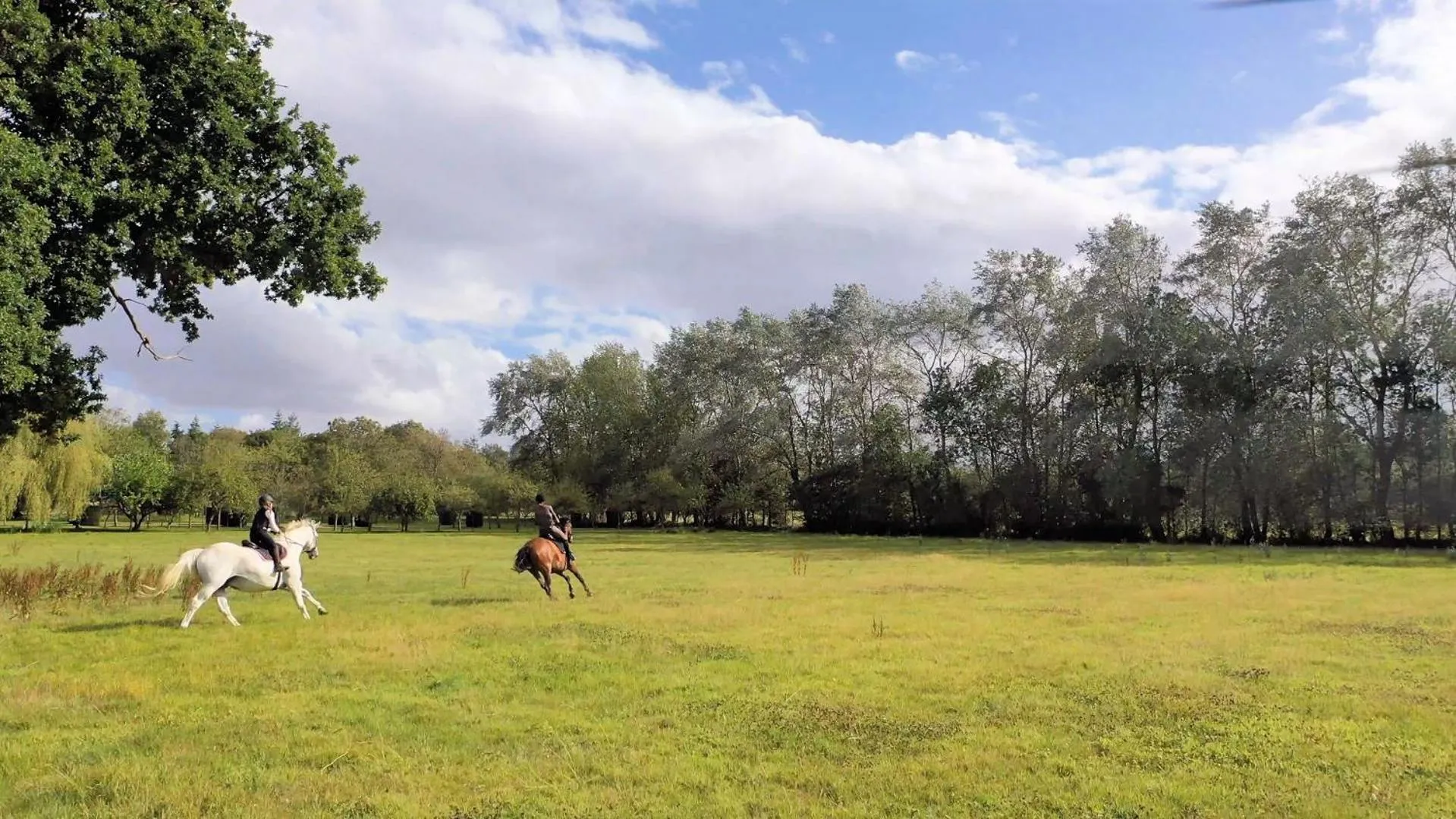 Day in Château du Bû