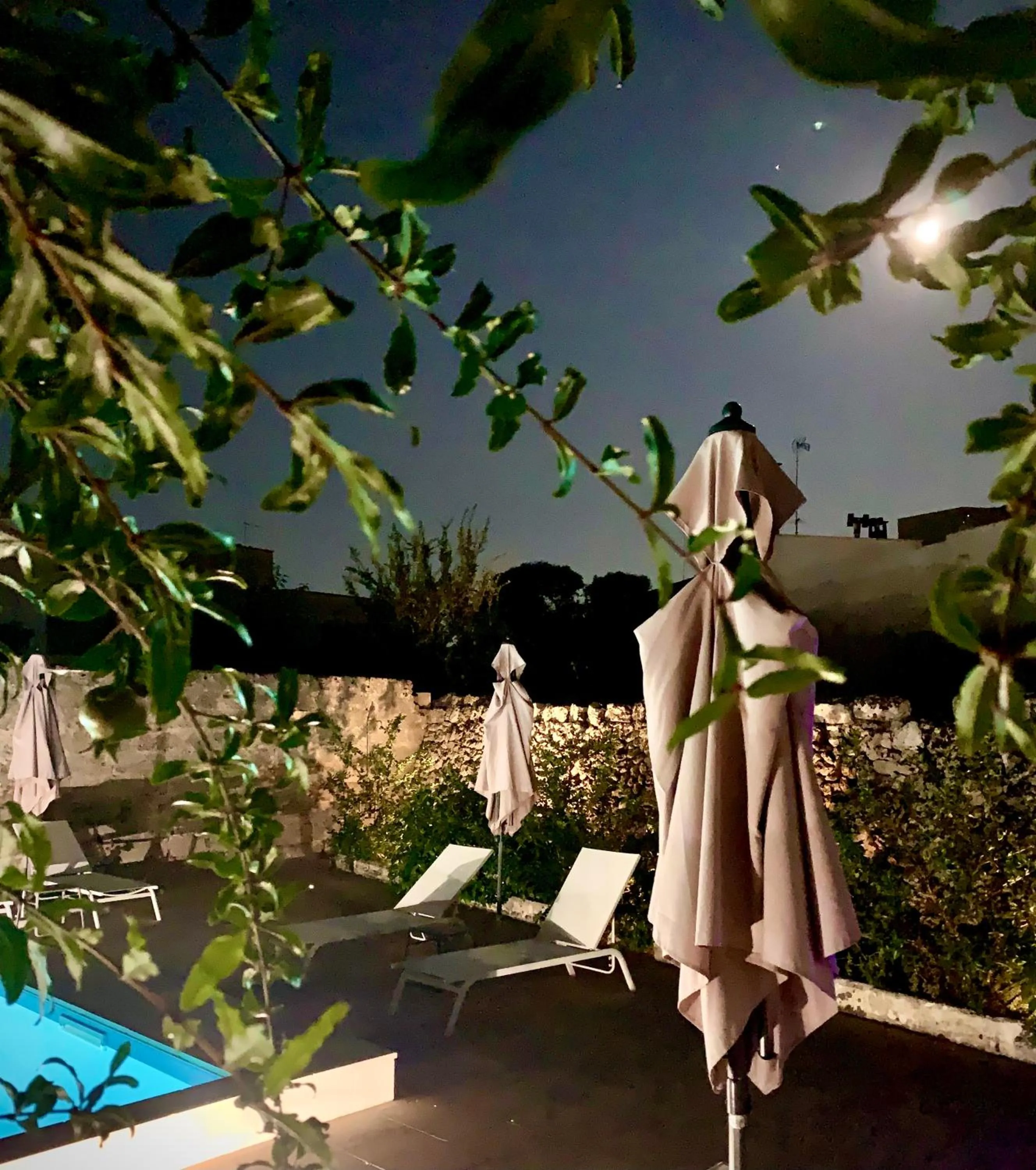 Garden in B&B Don Alessandro