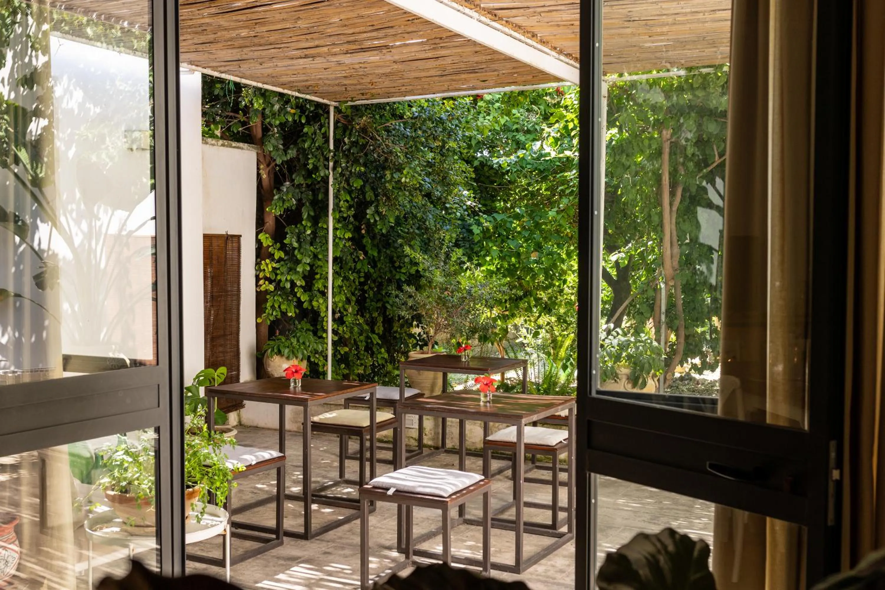 Patio in B&B Don Alessandro